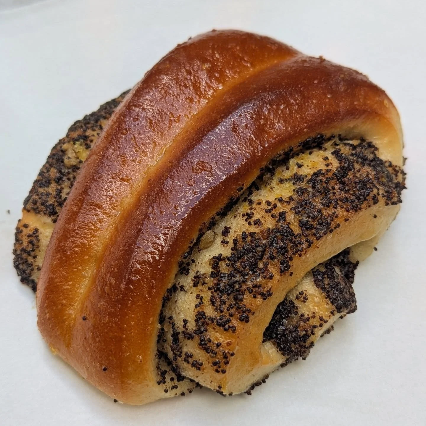 Mohnies - Fr&uuml;hsommer Special

Mohn Brioche Wolken mit Zitronen Sirup 🍋

Komm vorbei und probier sie aus!
