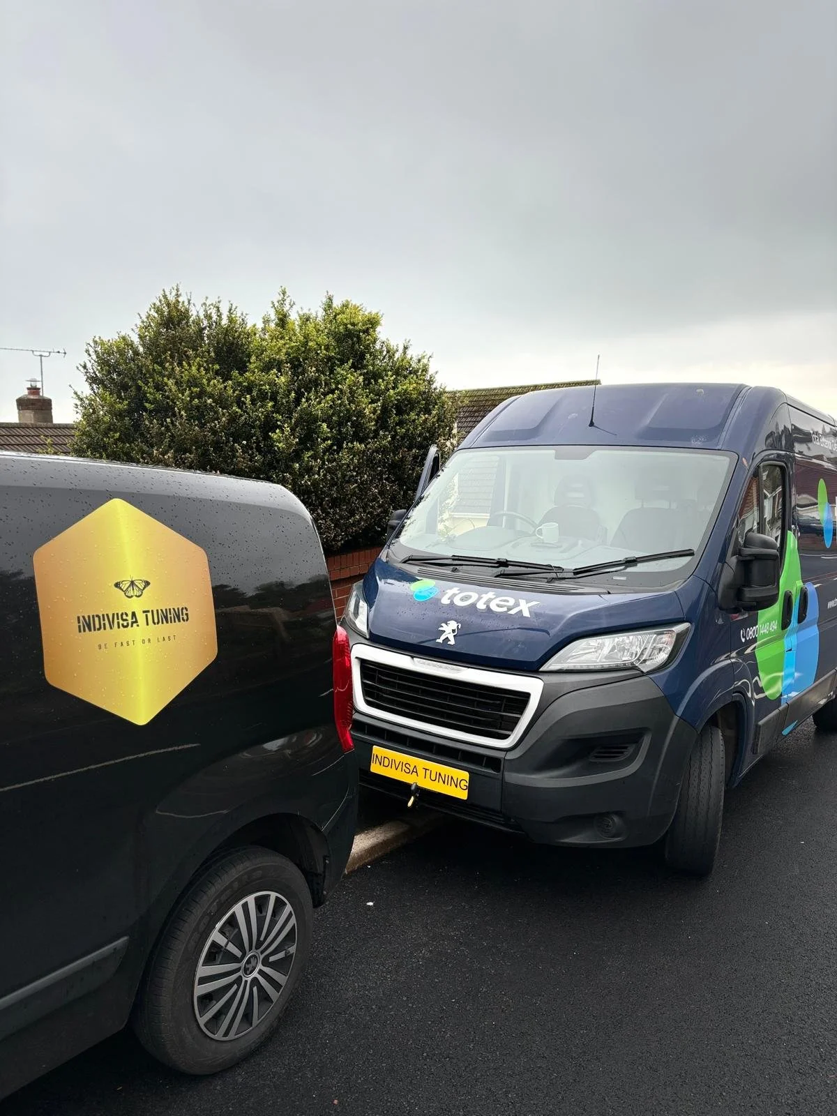 WhatsApp Image 2025-02-26 at 09.32.21_72d01eab.jpg