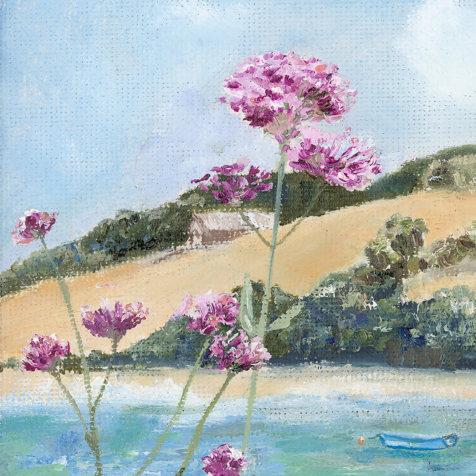 Salcombe-1.jpg