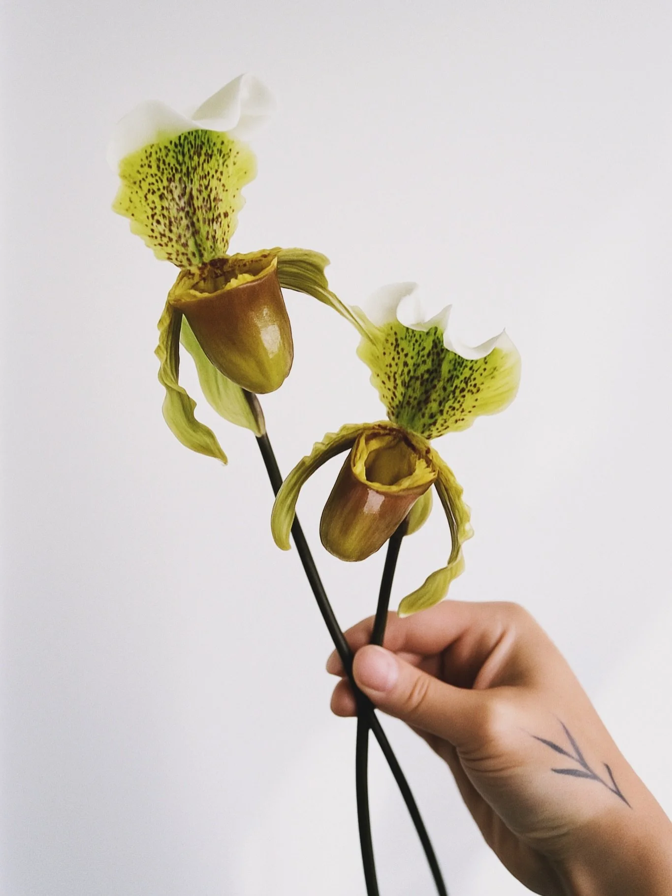 Obsessed with the details lately. These orchids were too good not to share.