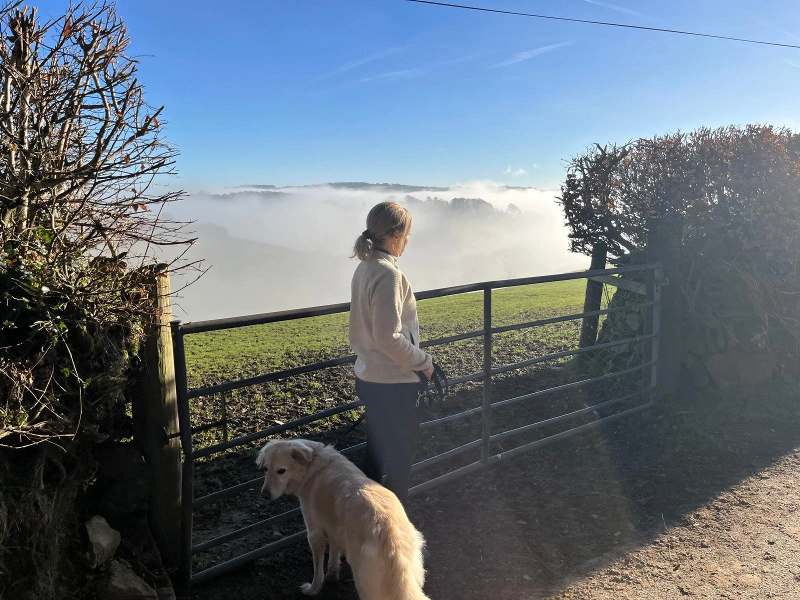 New year, new resolutions?