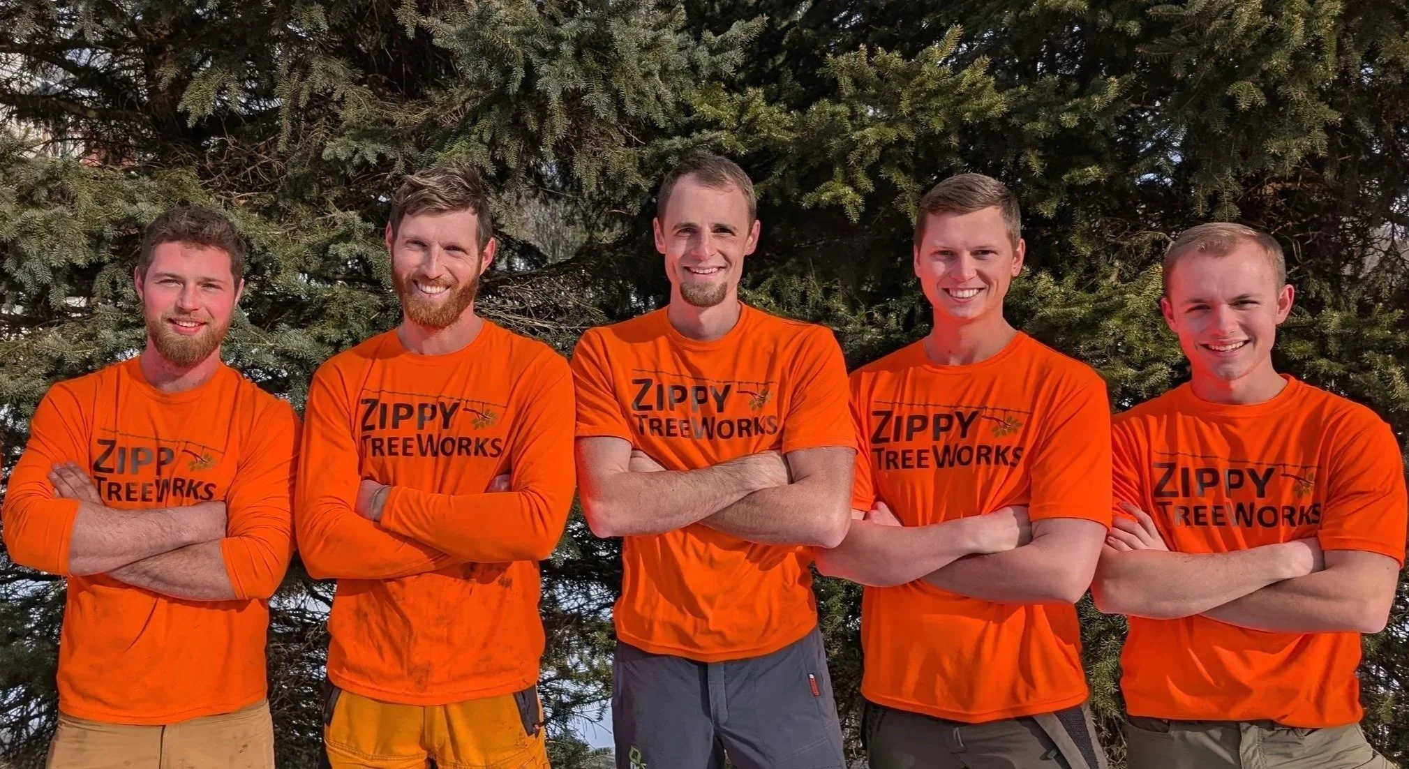 Zippy TreeWorks - Tree Service