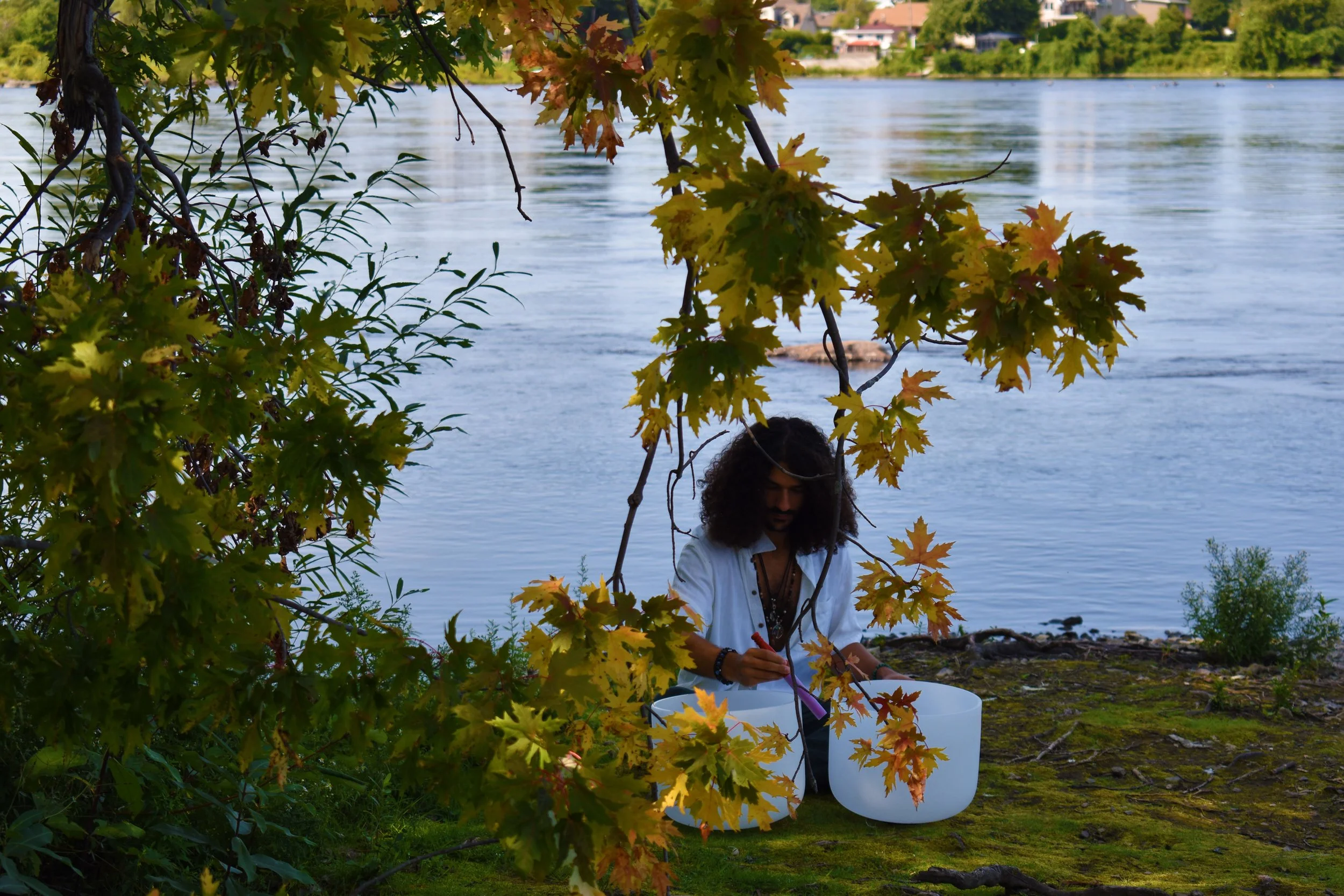 DSC_0247.jpg