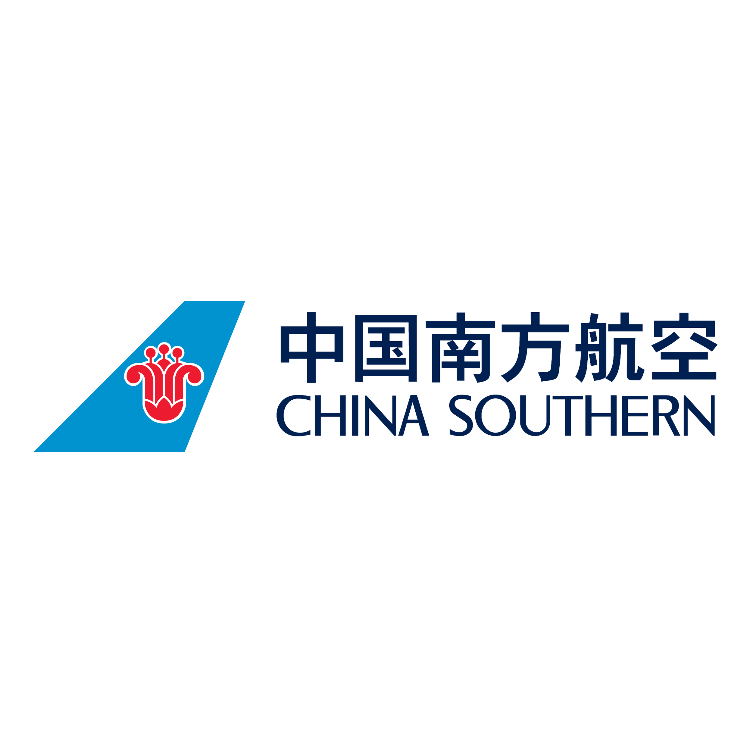 Logo of China Southern Airlines with a blue wing and red emblem, alongside the airline's name in Chinese and English.