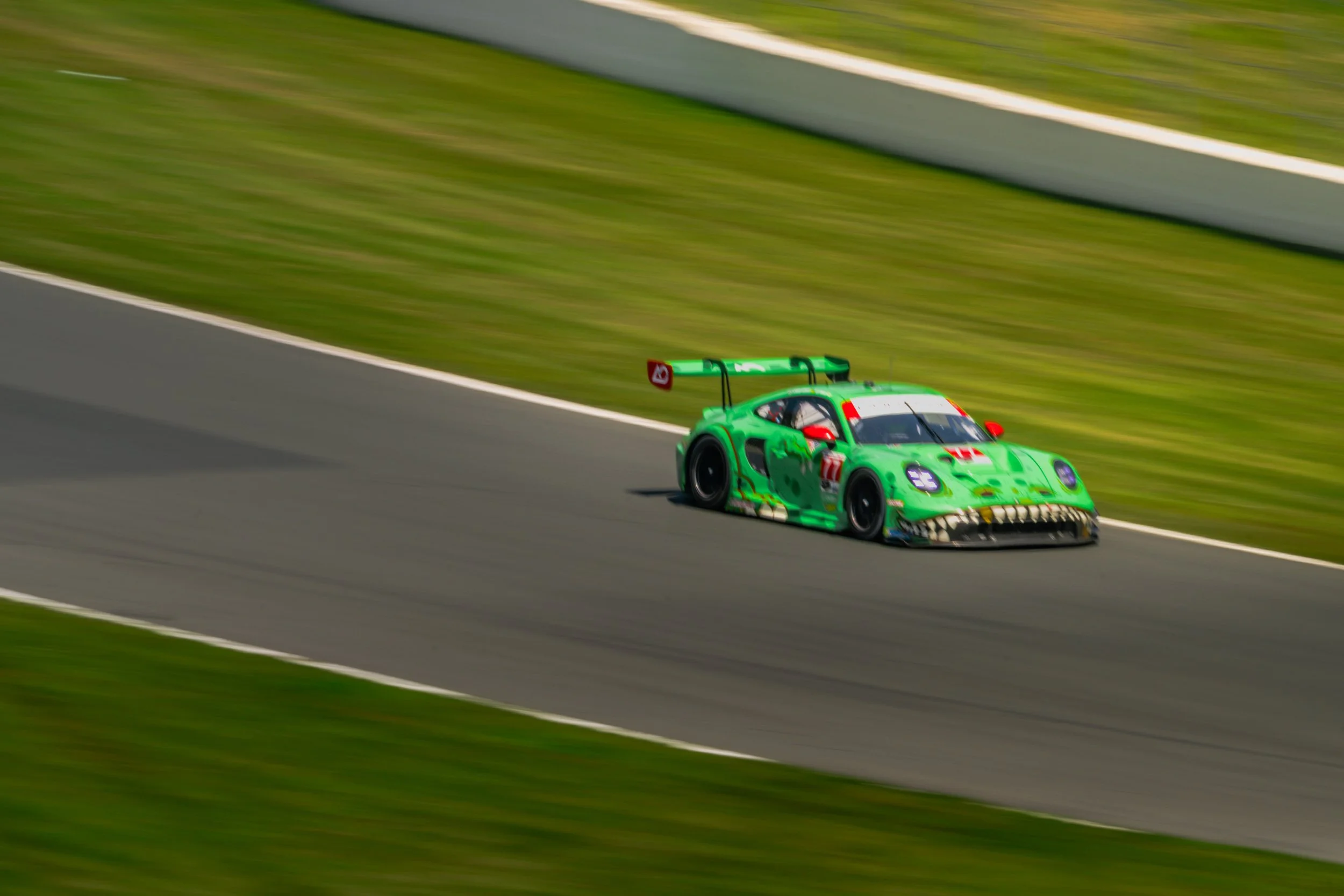 AO Racing's Rexy during the IMSA Weathertech Championship