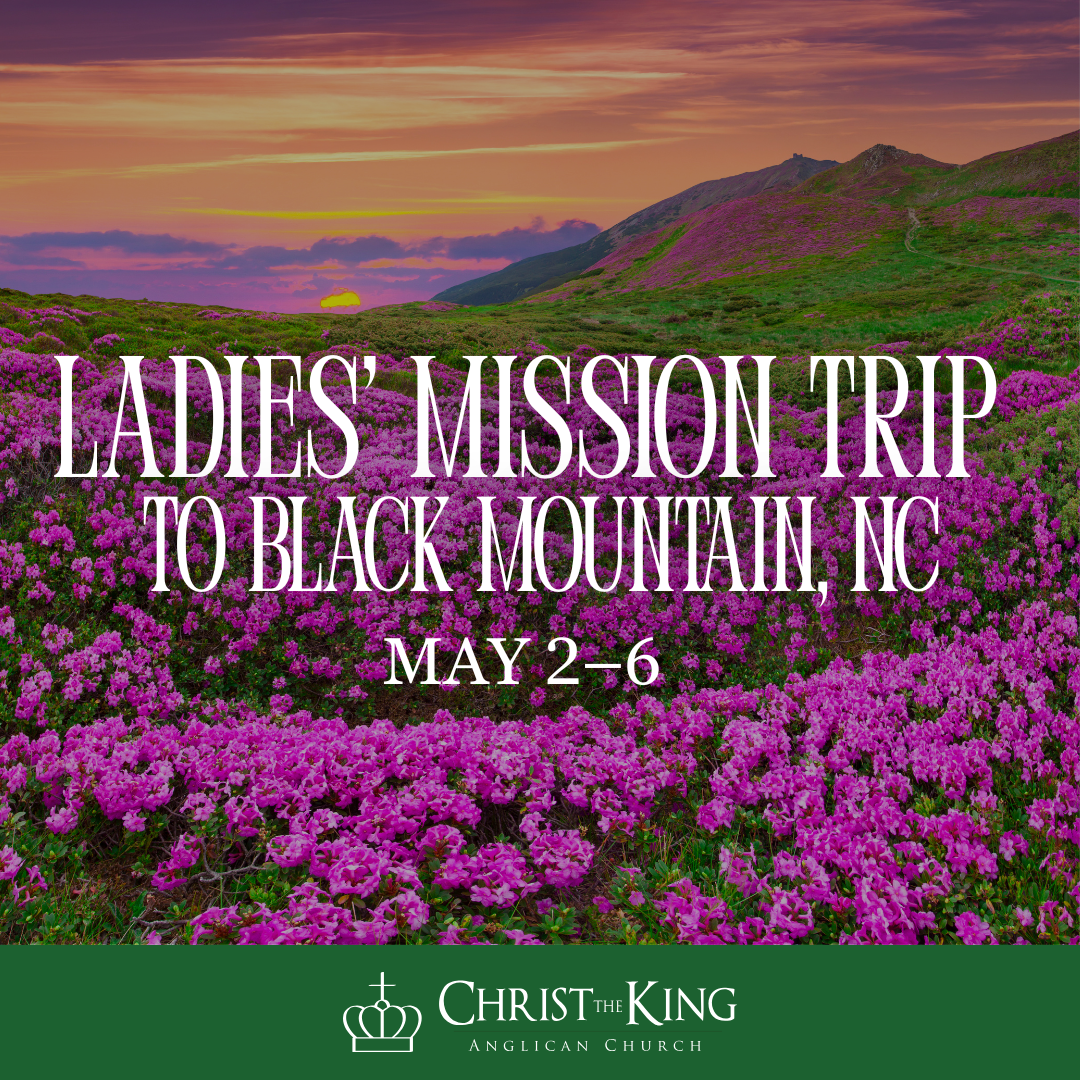 Ladies’ Mission Trip to Black Mountain, NC 