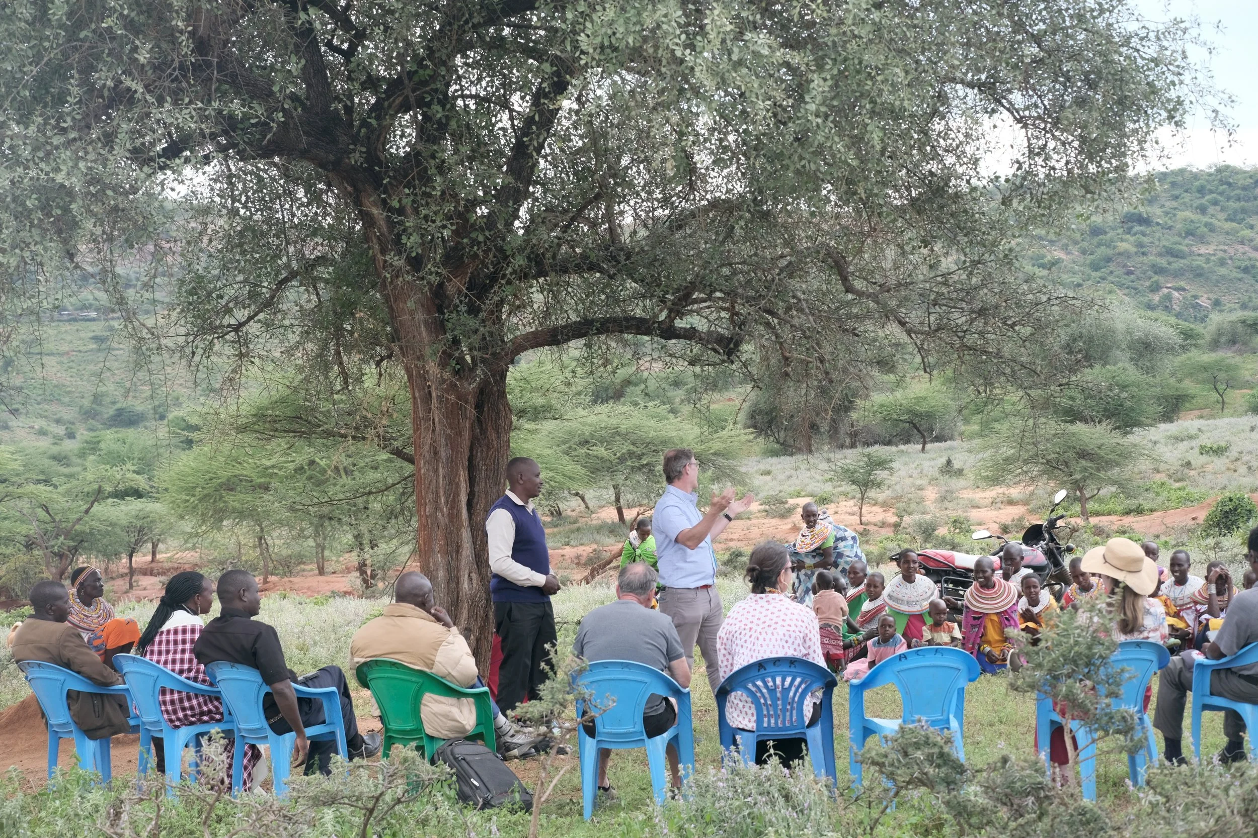 Church under the tree