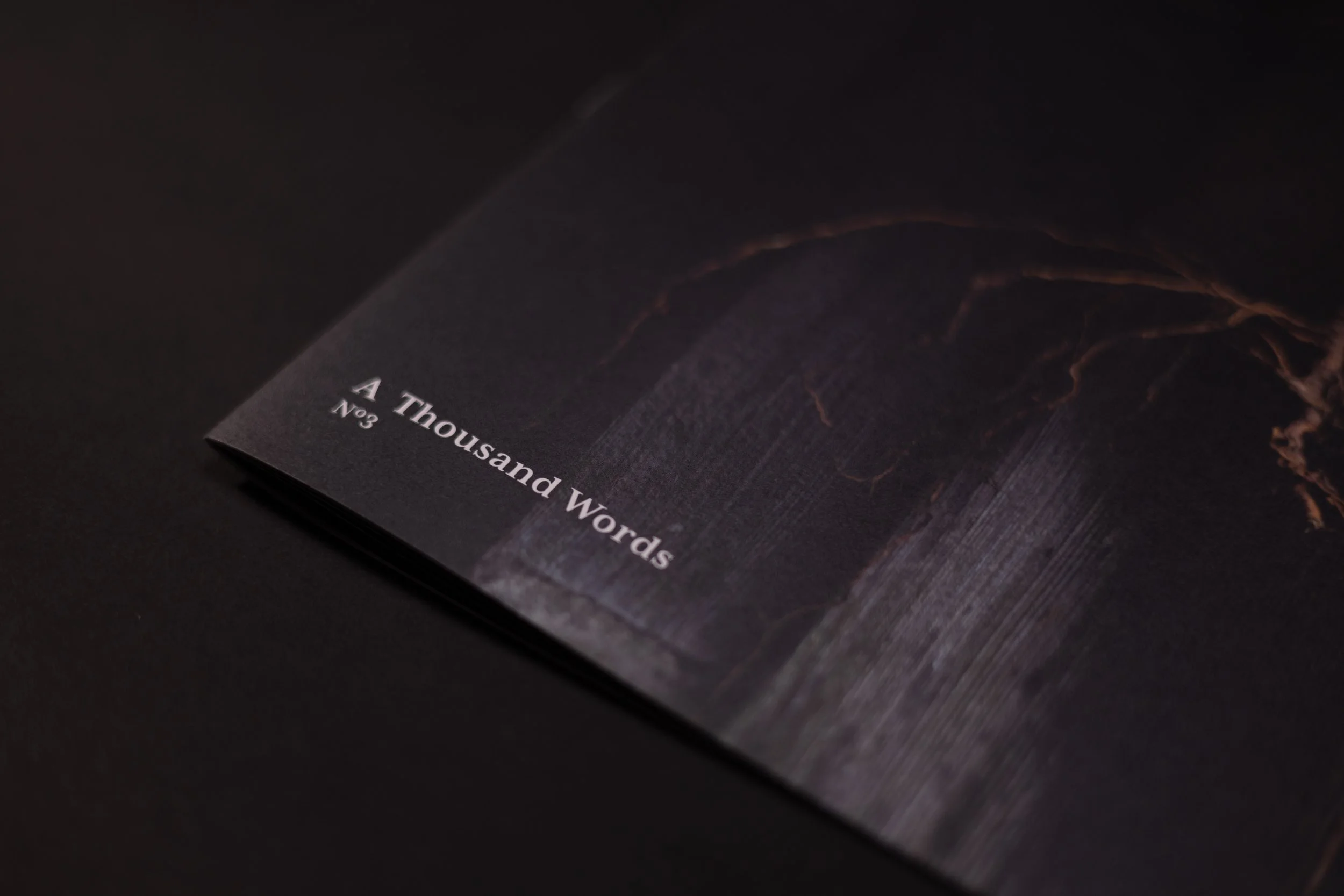 A Thousand Words Nº 3