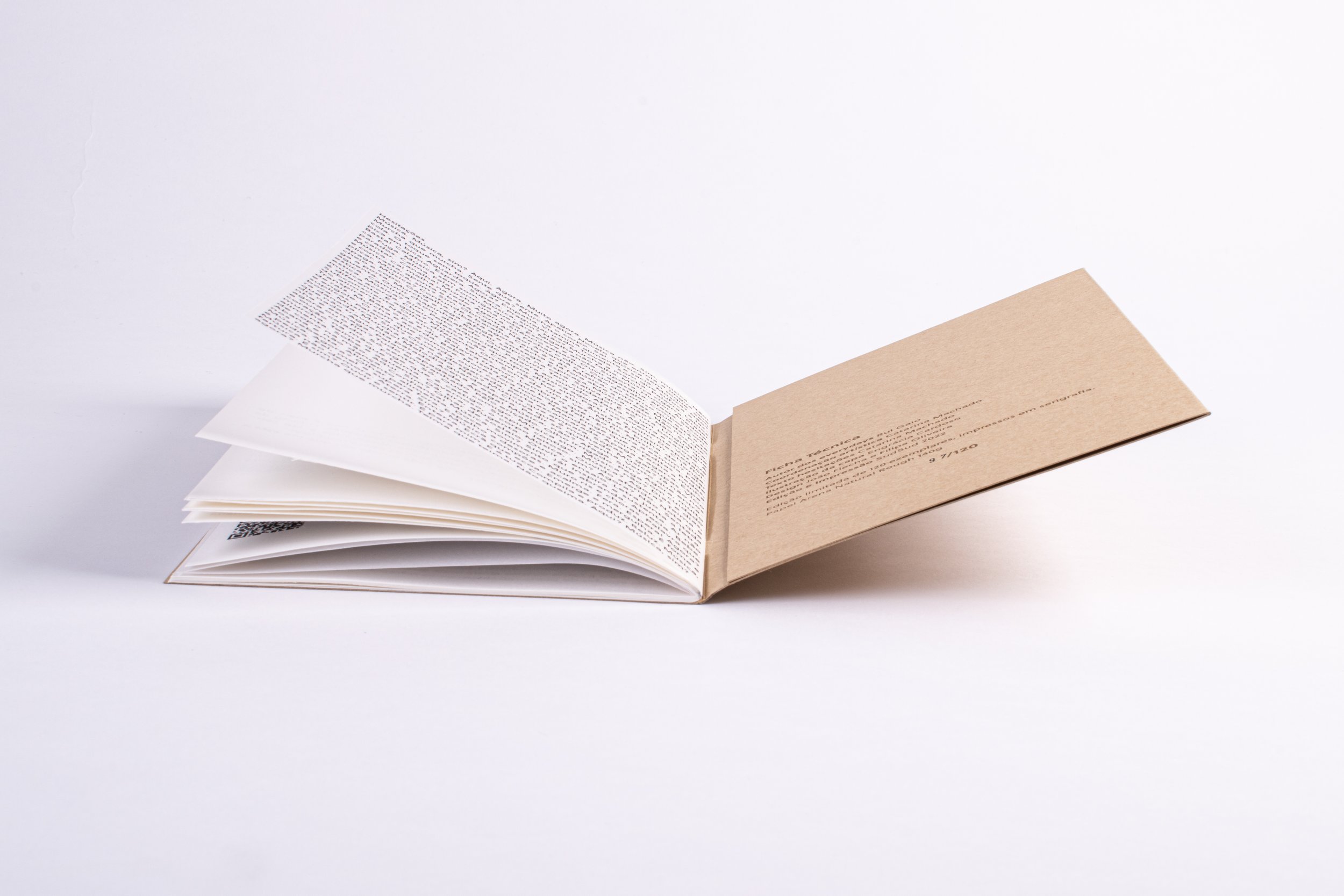 Publicações sessao1-401.jpg