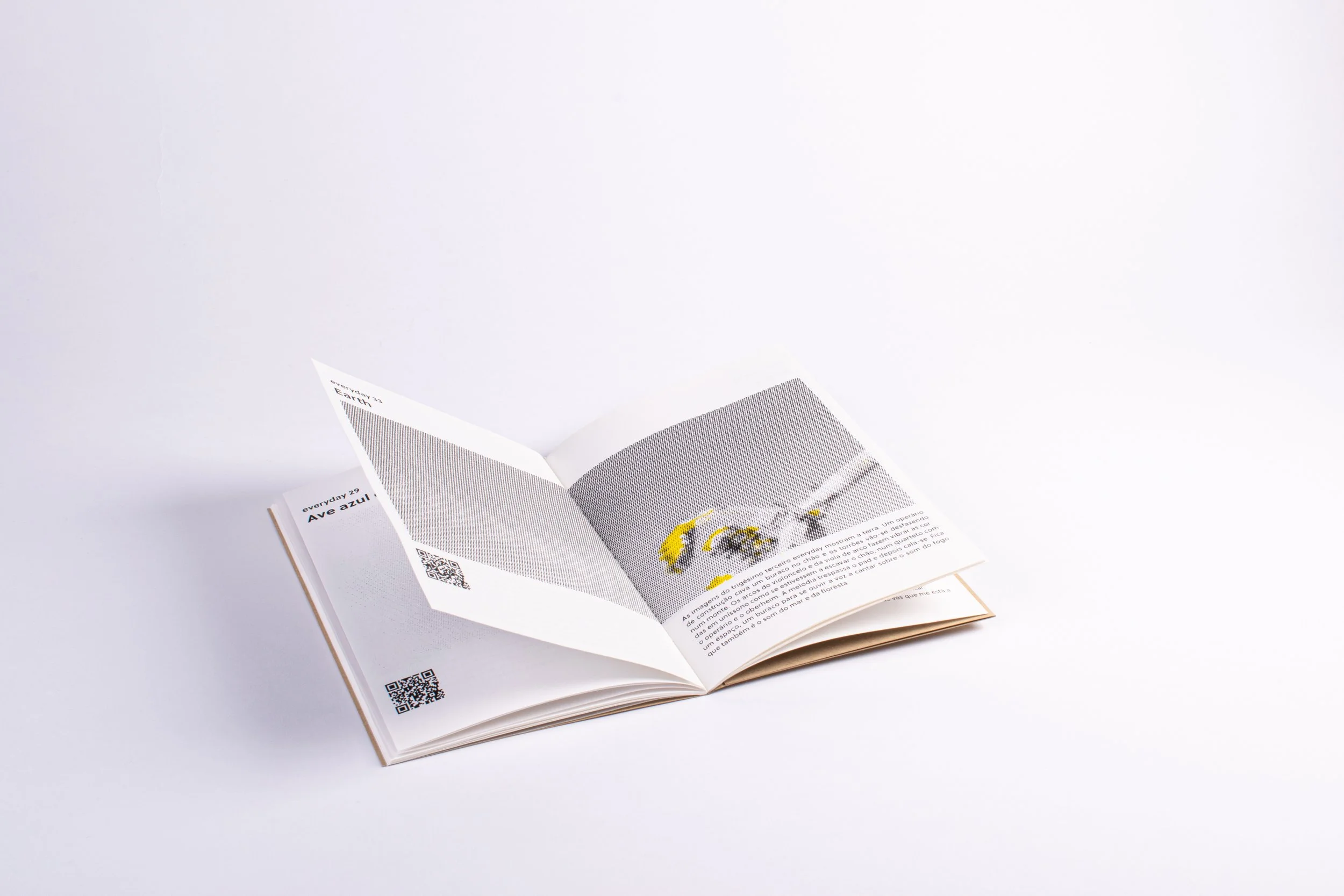 Publicações sessao1-419.jpg