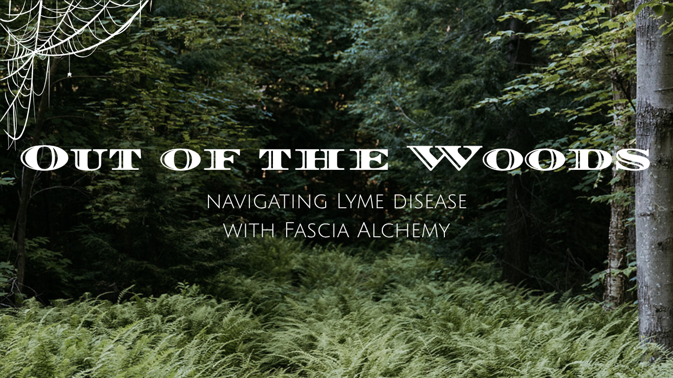 Out of the Woods.png