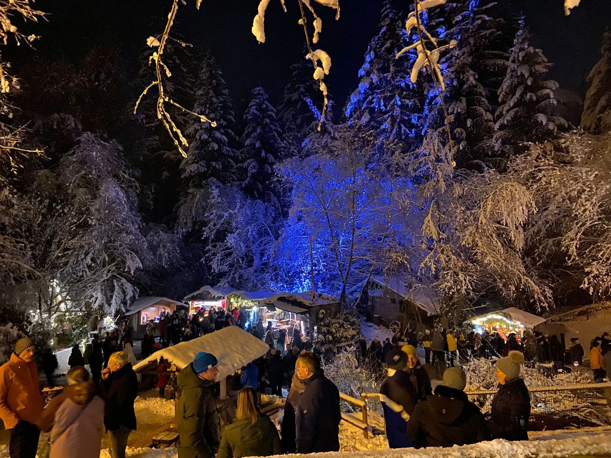 Halsbacher Waldweihnacht