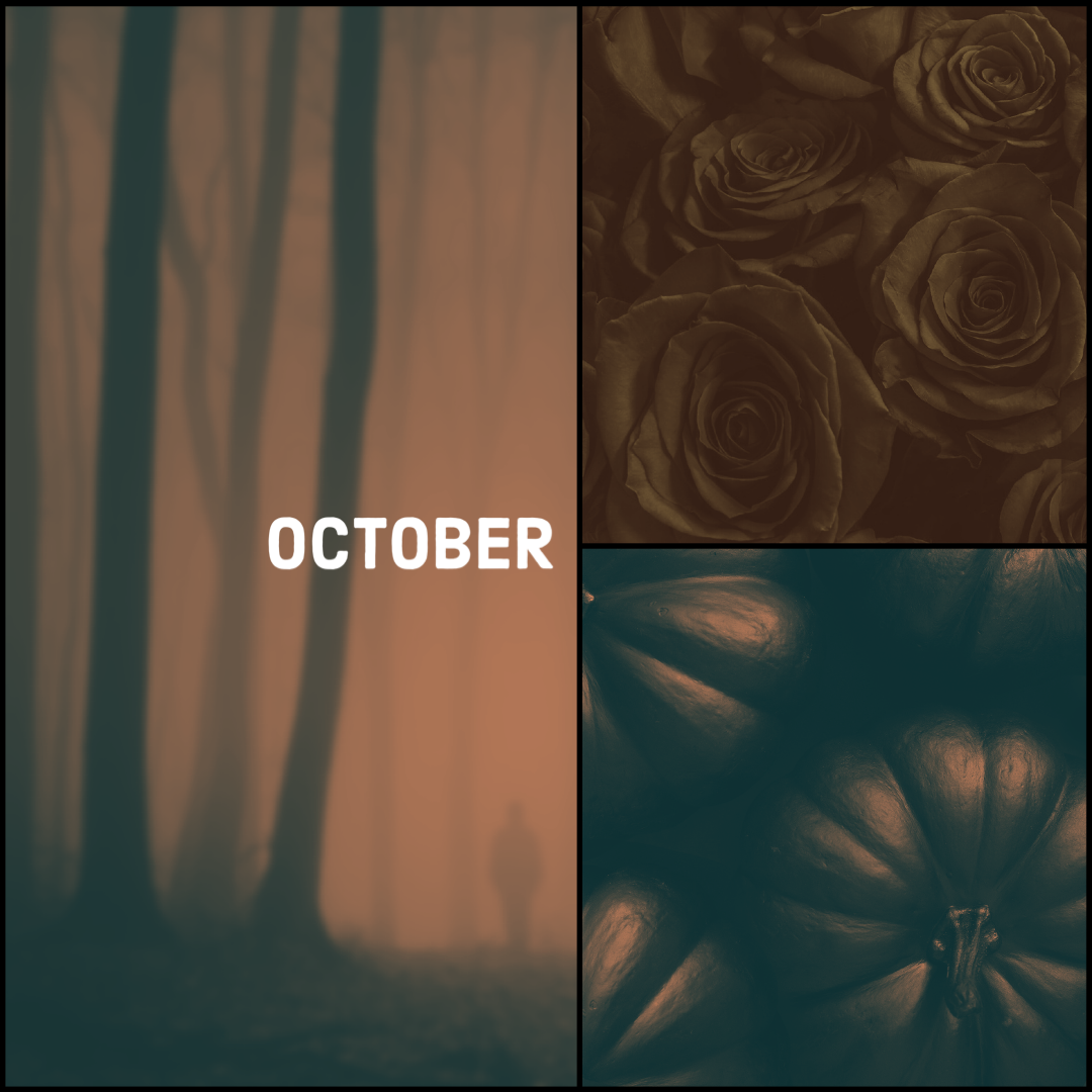 2D014CED-96B7-4B2D-A3DD-7E97EDD945C5.png