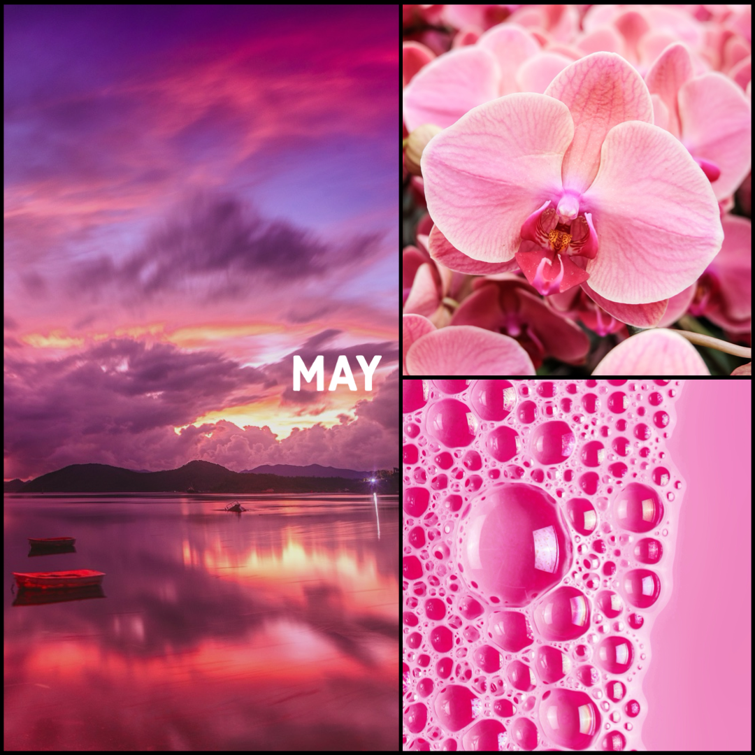 4EDEE7F6-17AC-4B03-B495-2E9A19B9138E.png