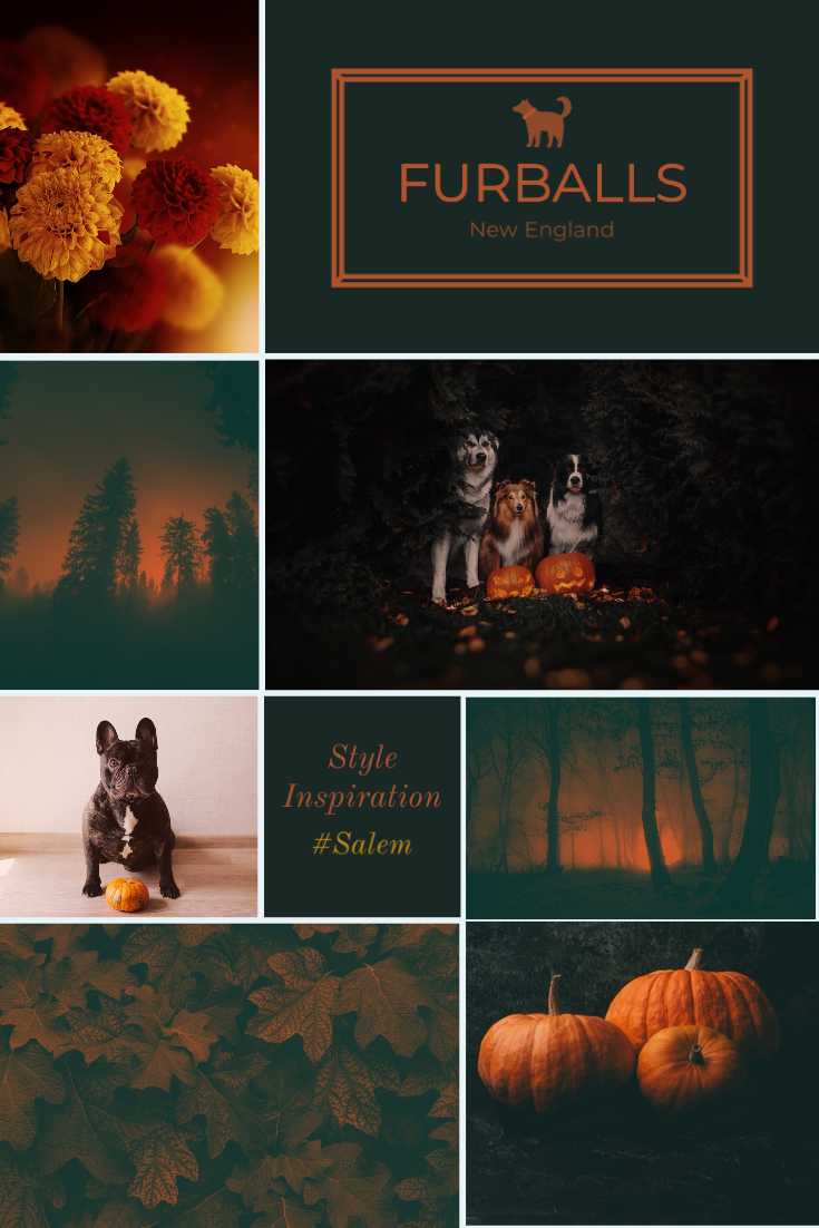 79C7A367-2E9F-4DAA-BDFF-634CDB06826E.png