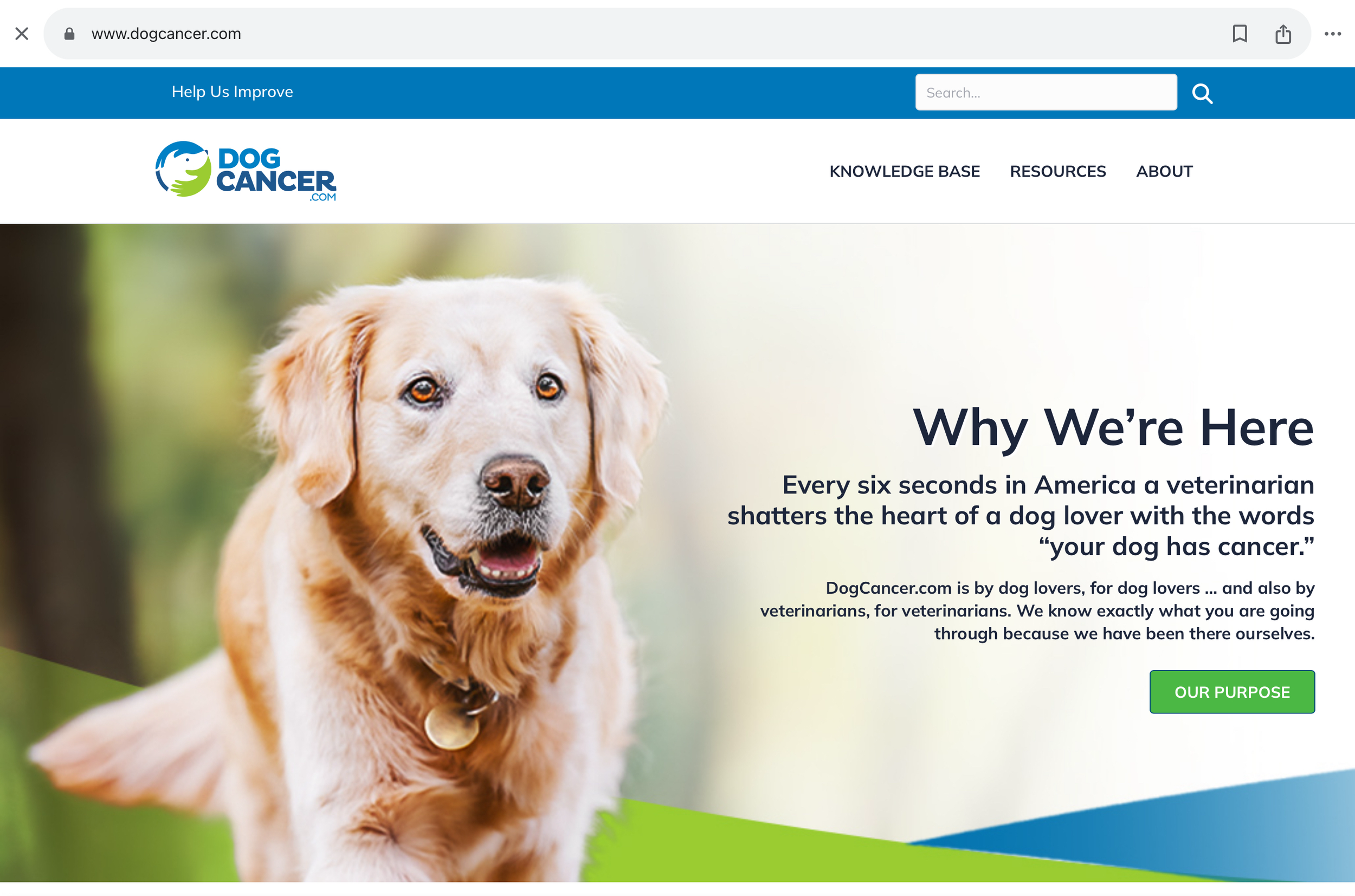 DC.com 2.png