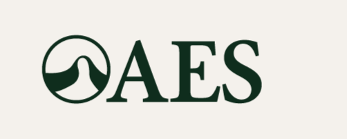A logo with a circular icon featuring a wave, and the letters 'AES' next to it.