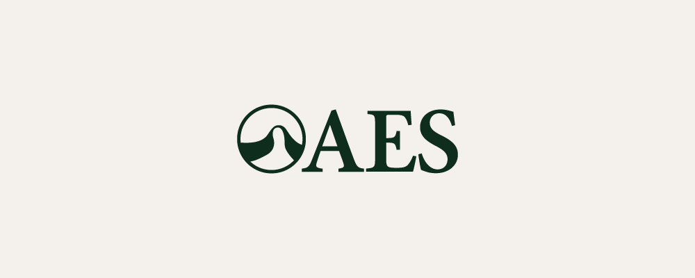 A logo for AES featuring a stylized circular icon with a wave element and the letters 'AES' in dark green on a light background.