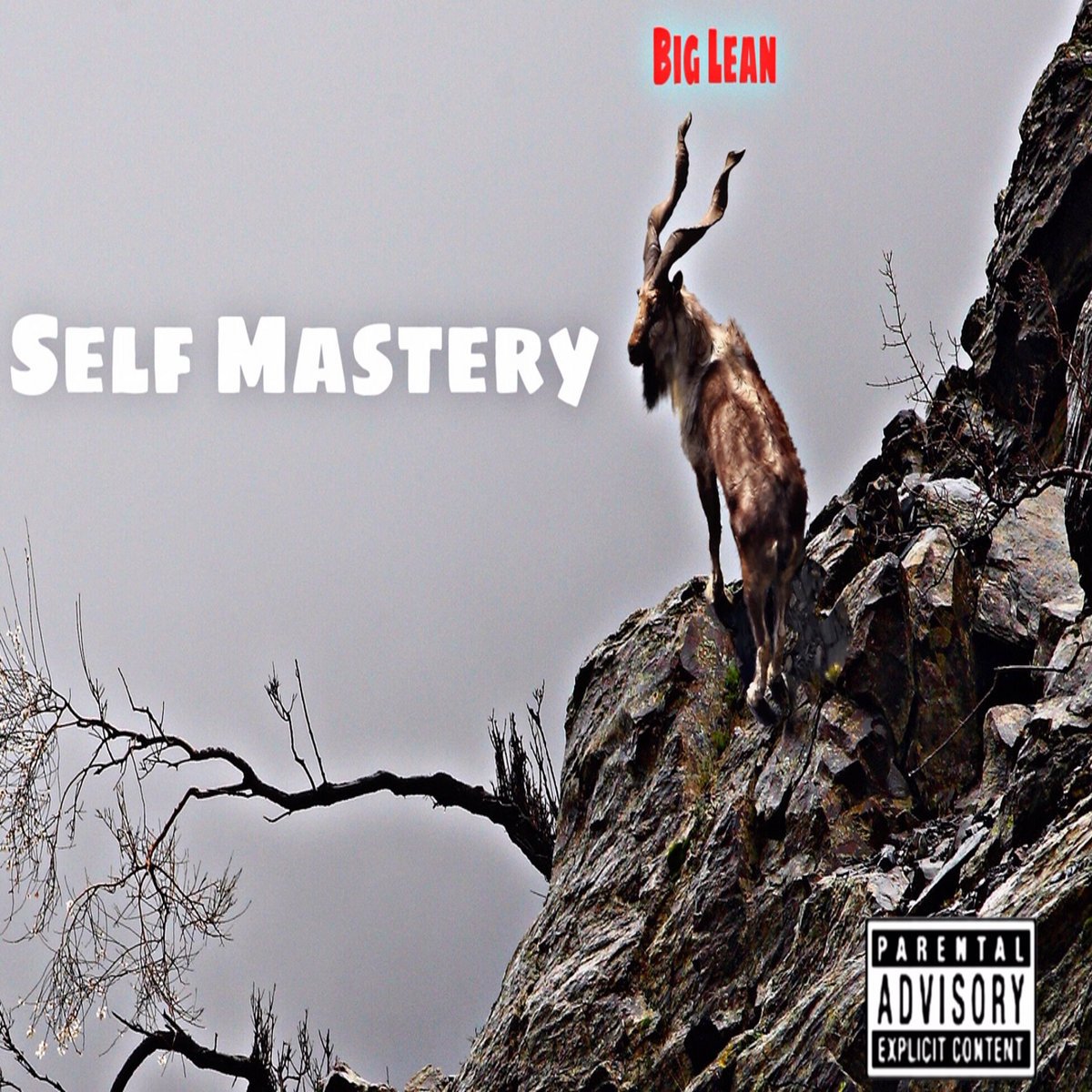 Self Mastery(Album)