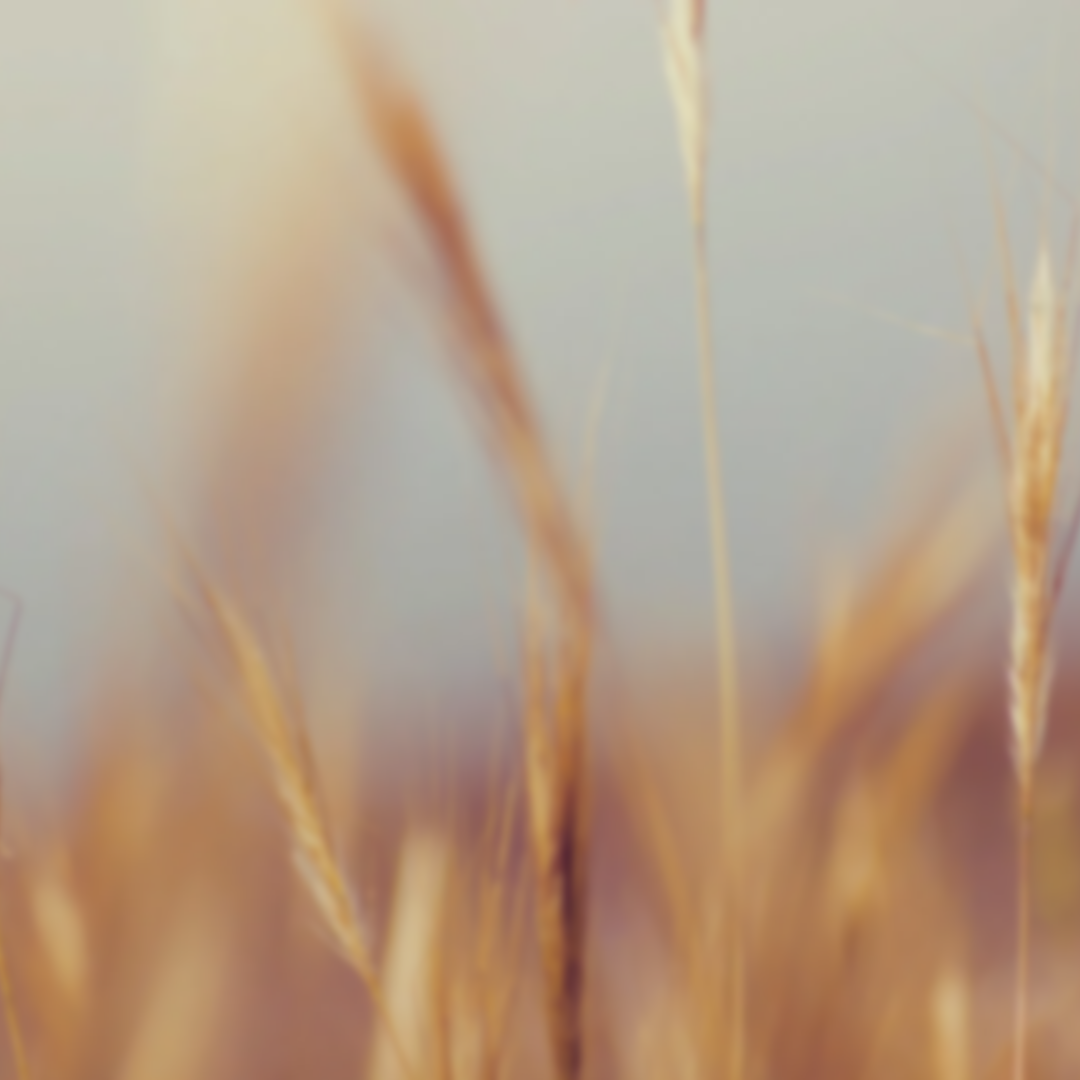 From Grave to Glory:  Trusting God in the Midst of Waiting