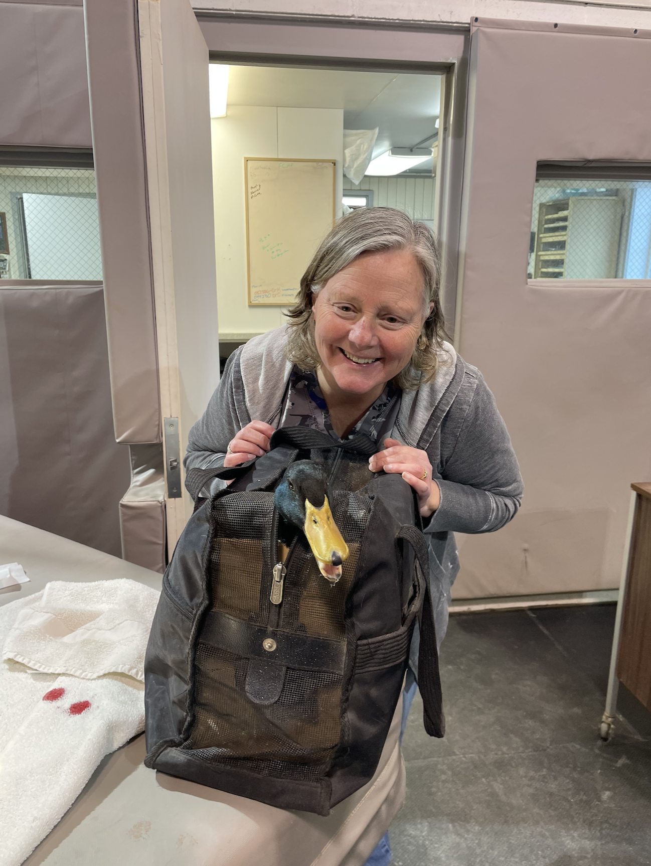 Screenshot 2024-08-12 at 12.42.25 PM.png