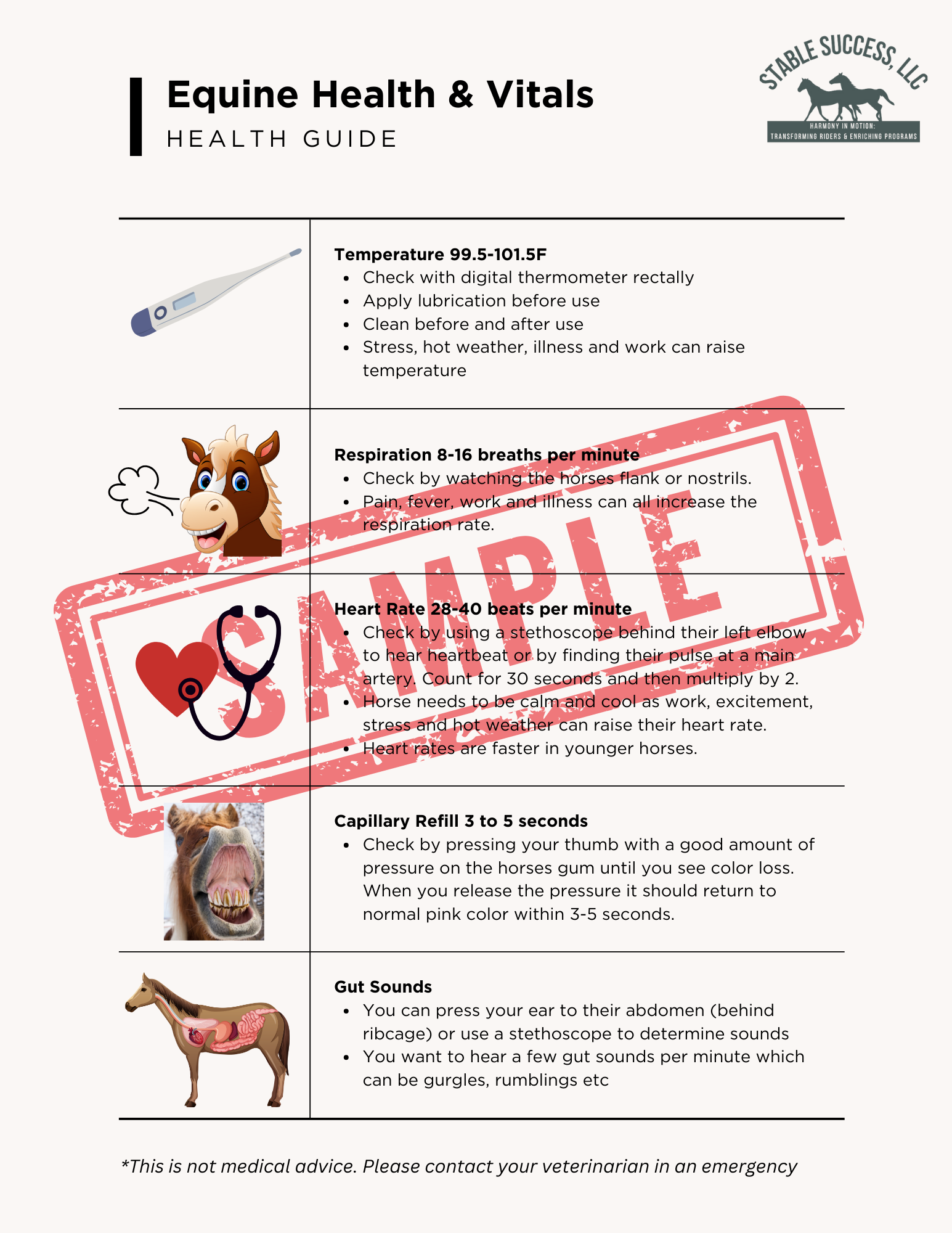 Equine Health & Vitals, First Aid Kit List and Normal Vital Signs by Horse
