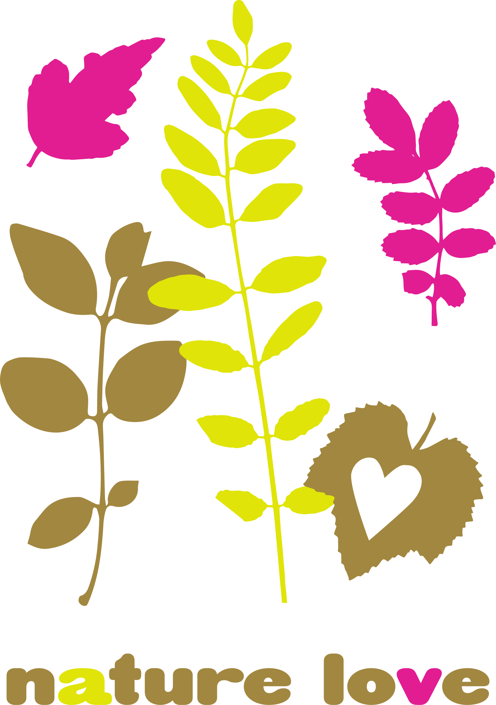 Blätter Leafs Nature Love