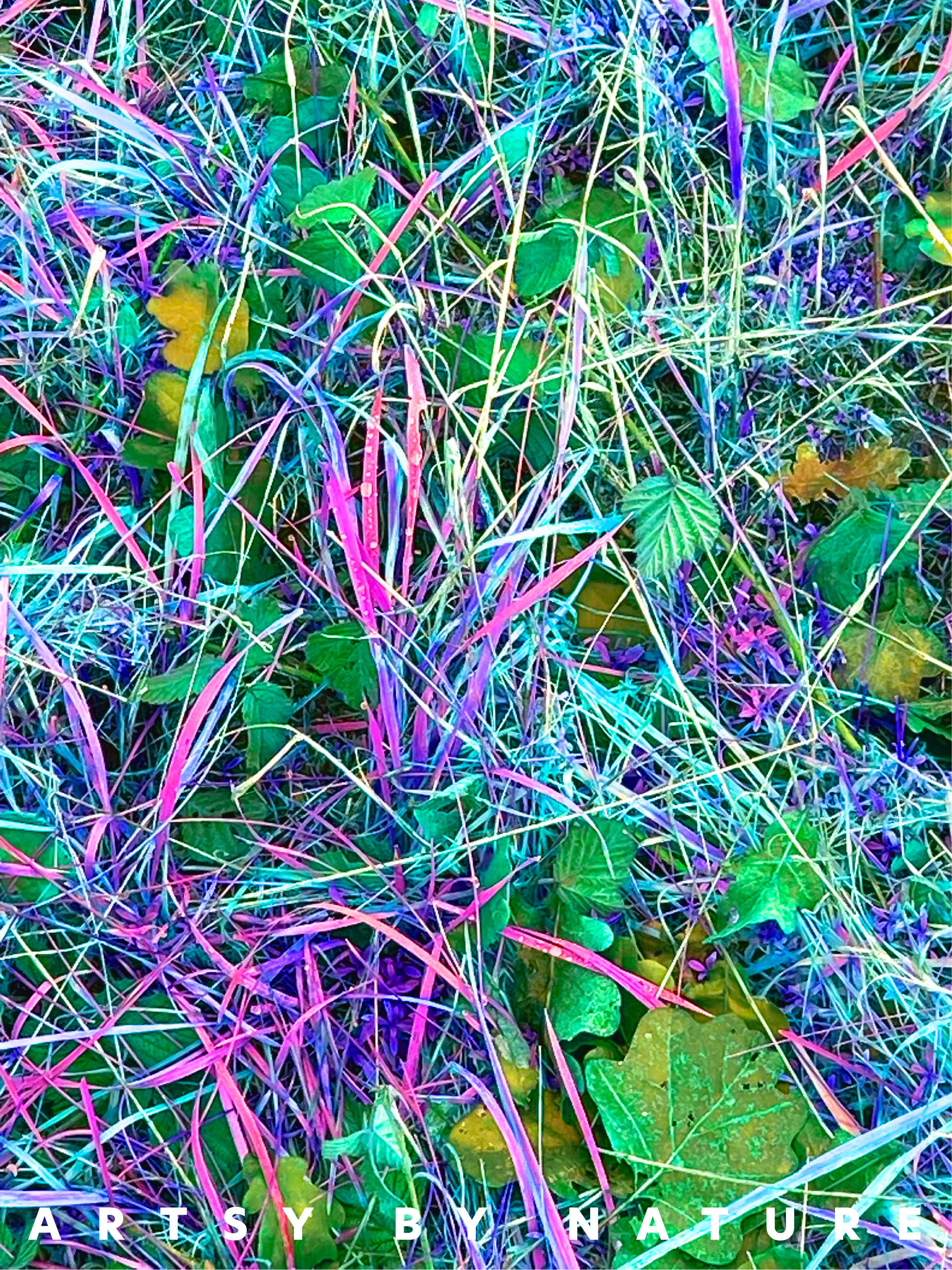 Bunt leuchtende Gras- und Blätter digital bearbeitetes Foto mit dem Text 'ARTSY BY NATURE' am unteren Rand.