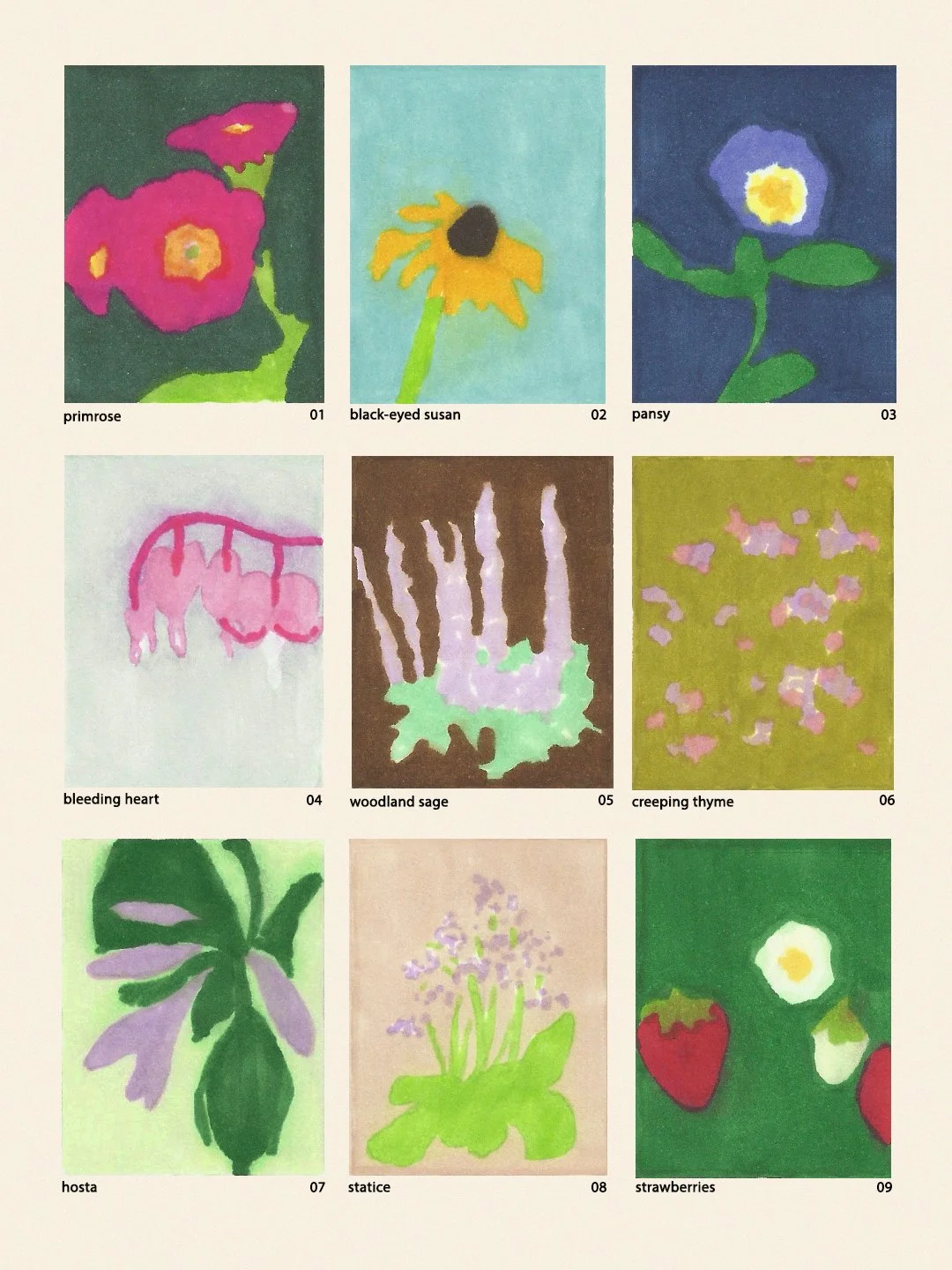 our garden.jpg
