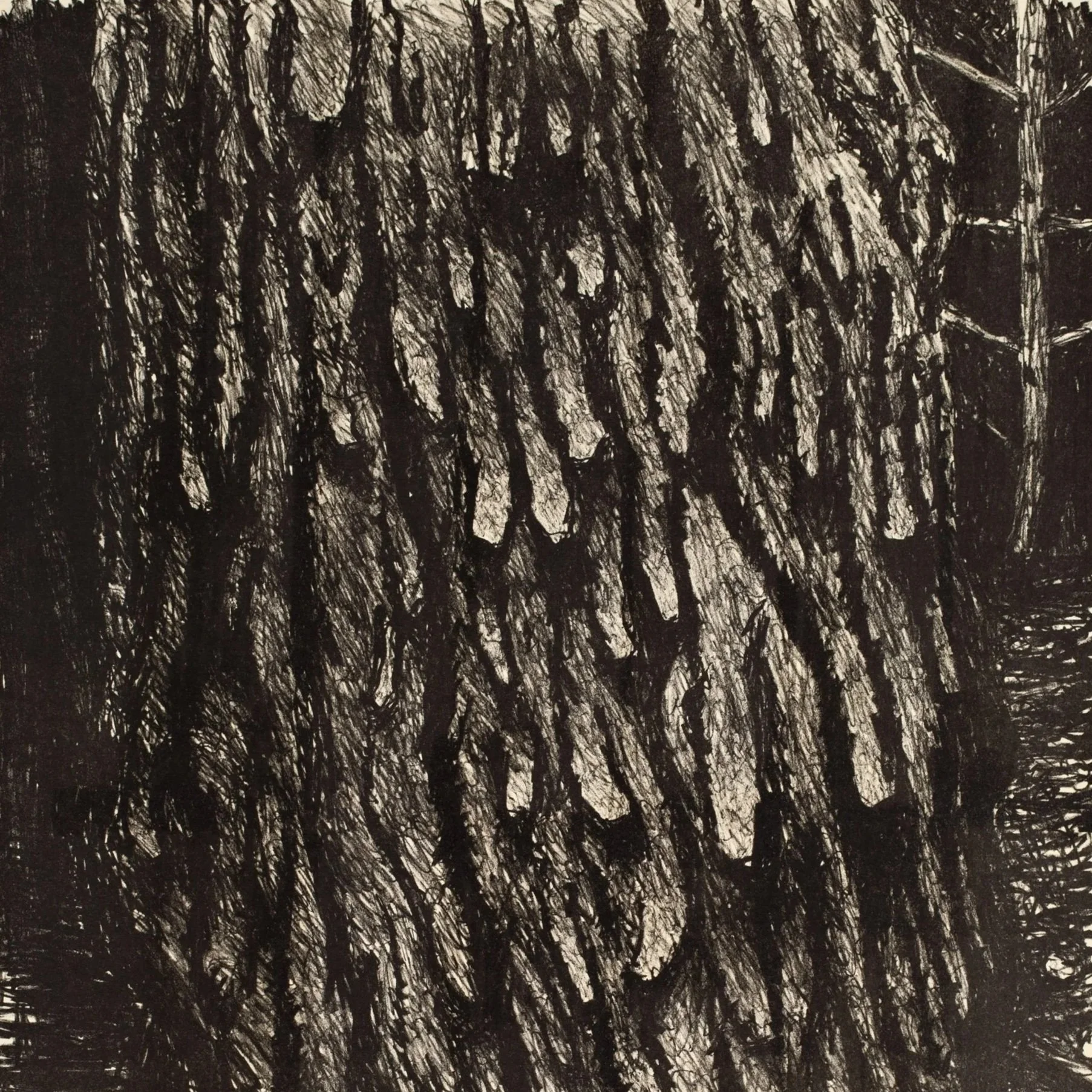 RUDY BURCKHARDT