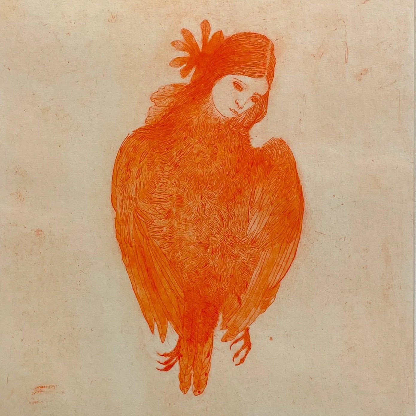 Harpy, 2026. Etching on chine collé on Hahnemüle white. 22 x 15.75 in. Edition of 20