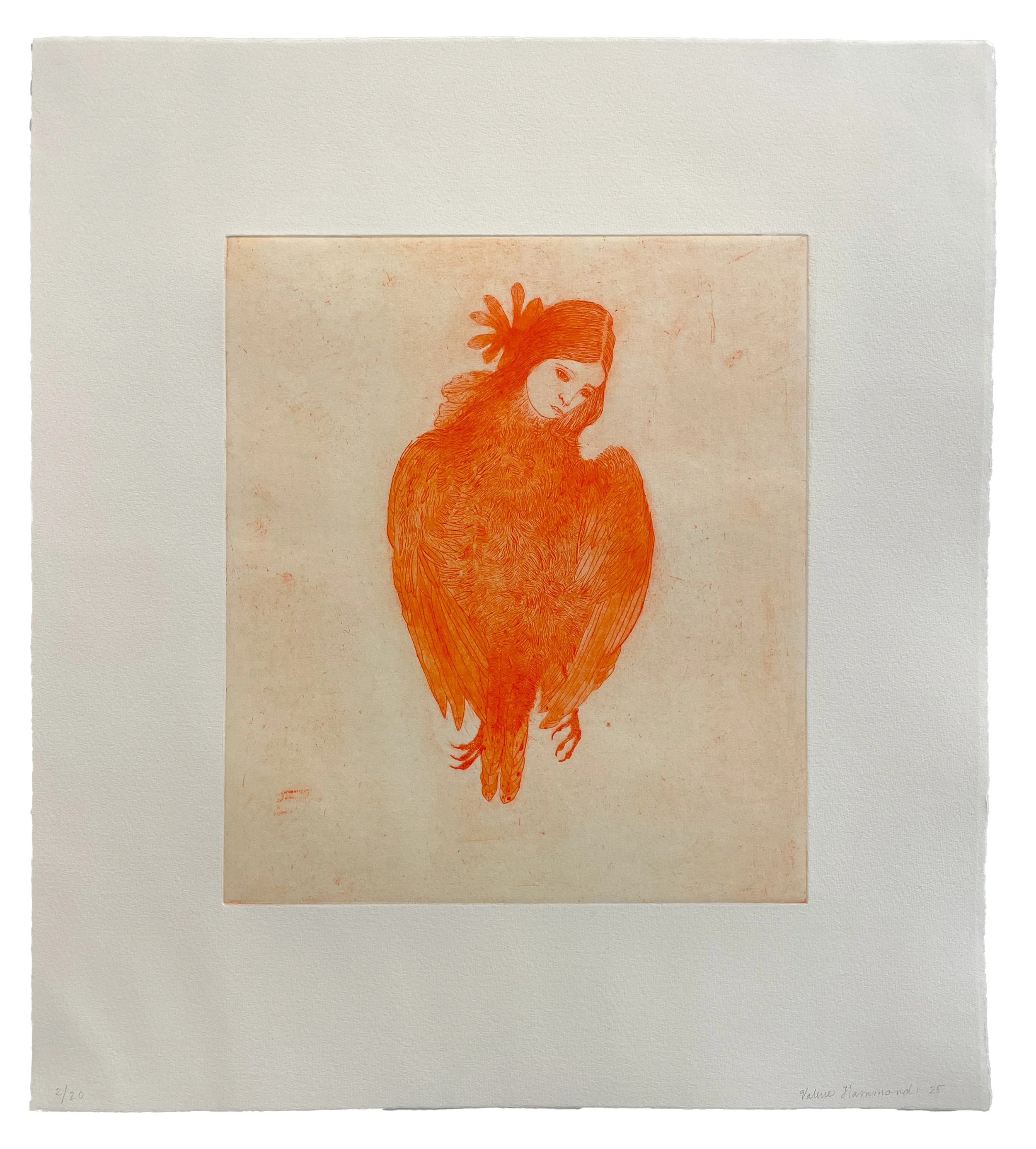 Harpy, 2026. Etching on chine collé on Hahnemüle white. 22 x 15.75 in. Edition of 20