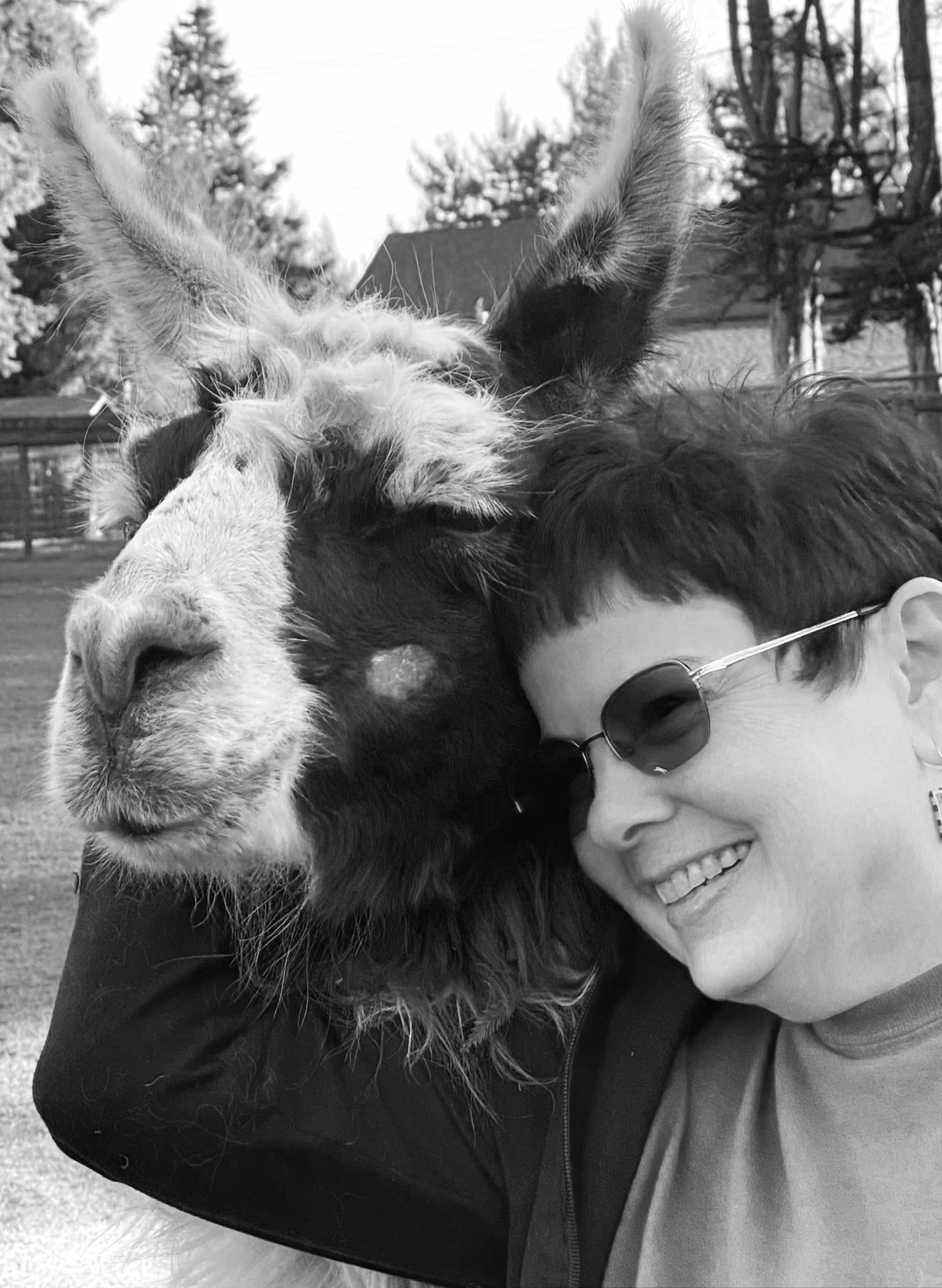 Gotta Love Those Animals