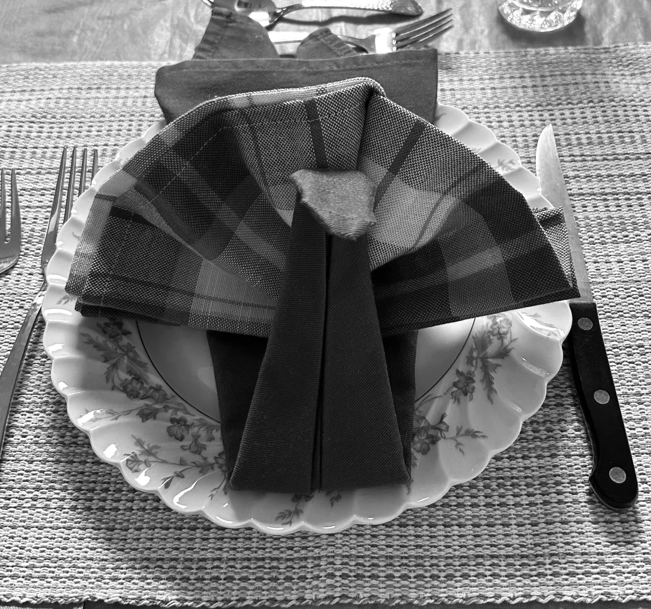 Turkey Napkin Fold