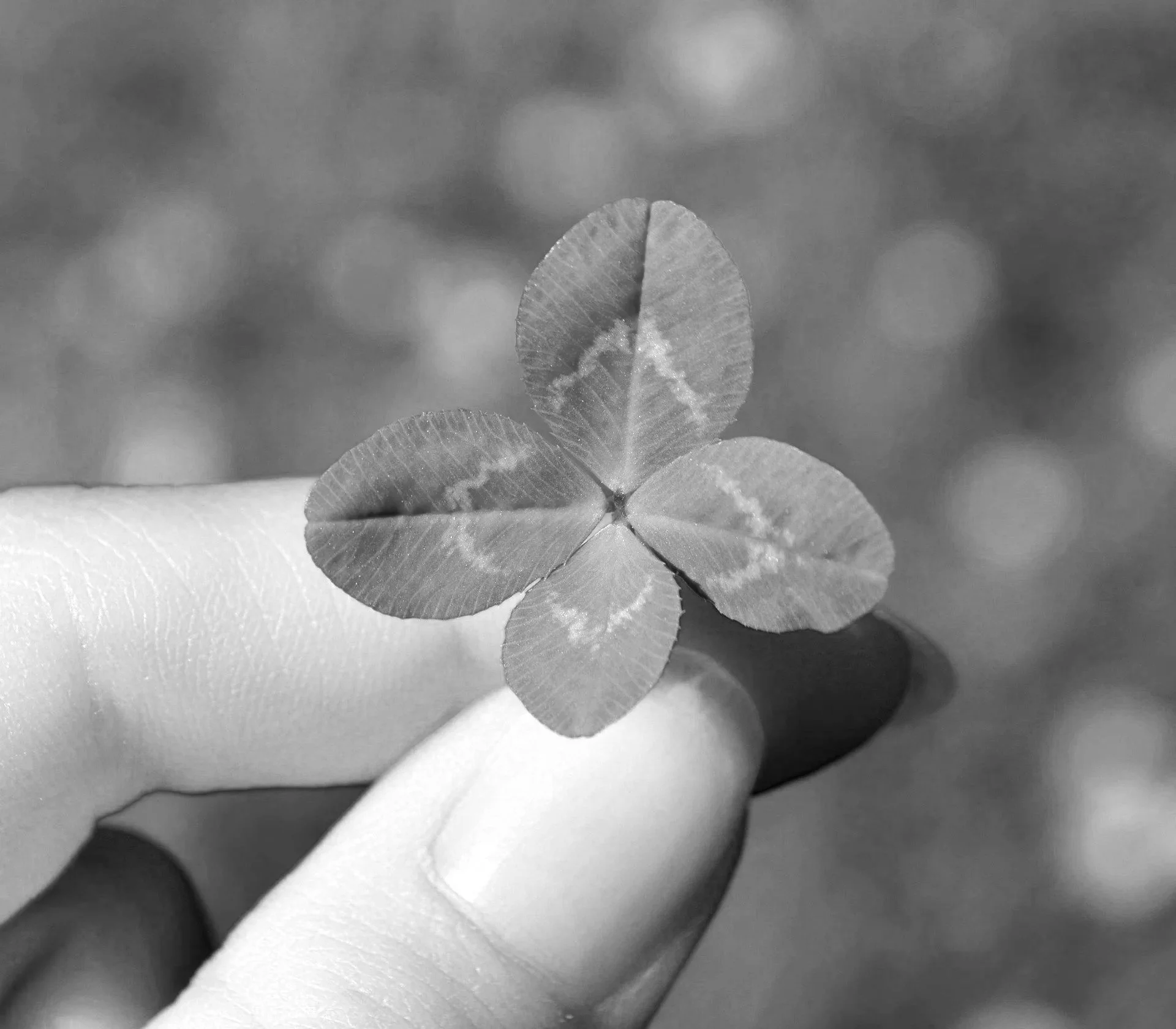 Lucky