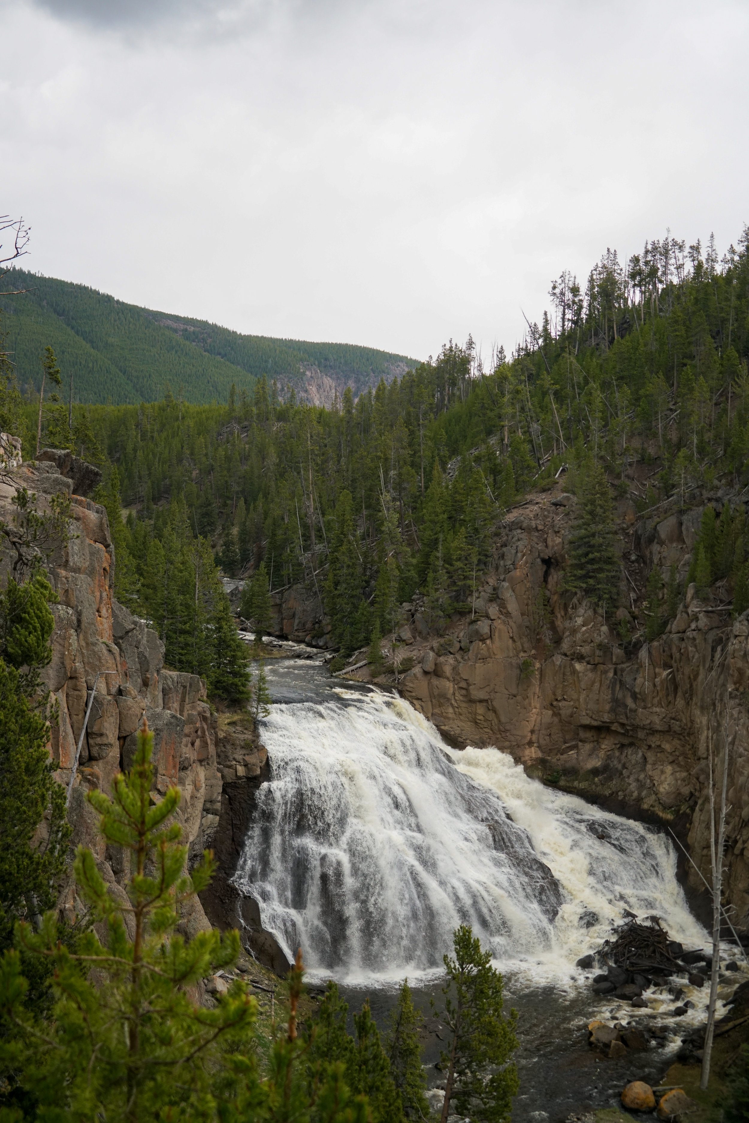 A waterfall flowing through a rocky canyon surrounded by dense green pine trees in a mountainous area under a cloudy sky.