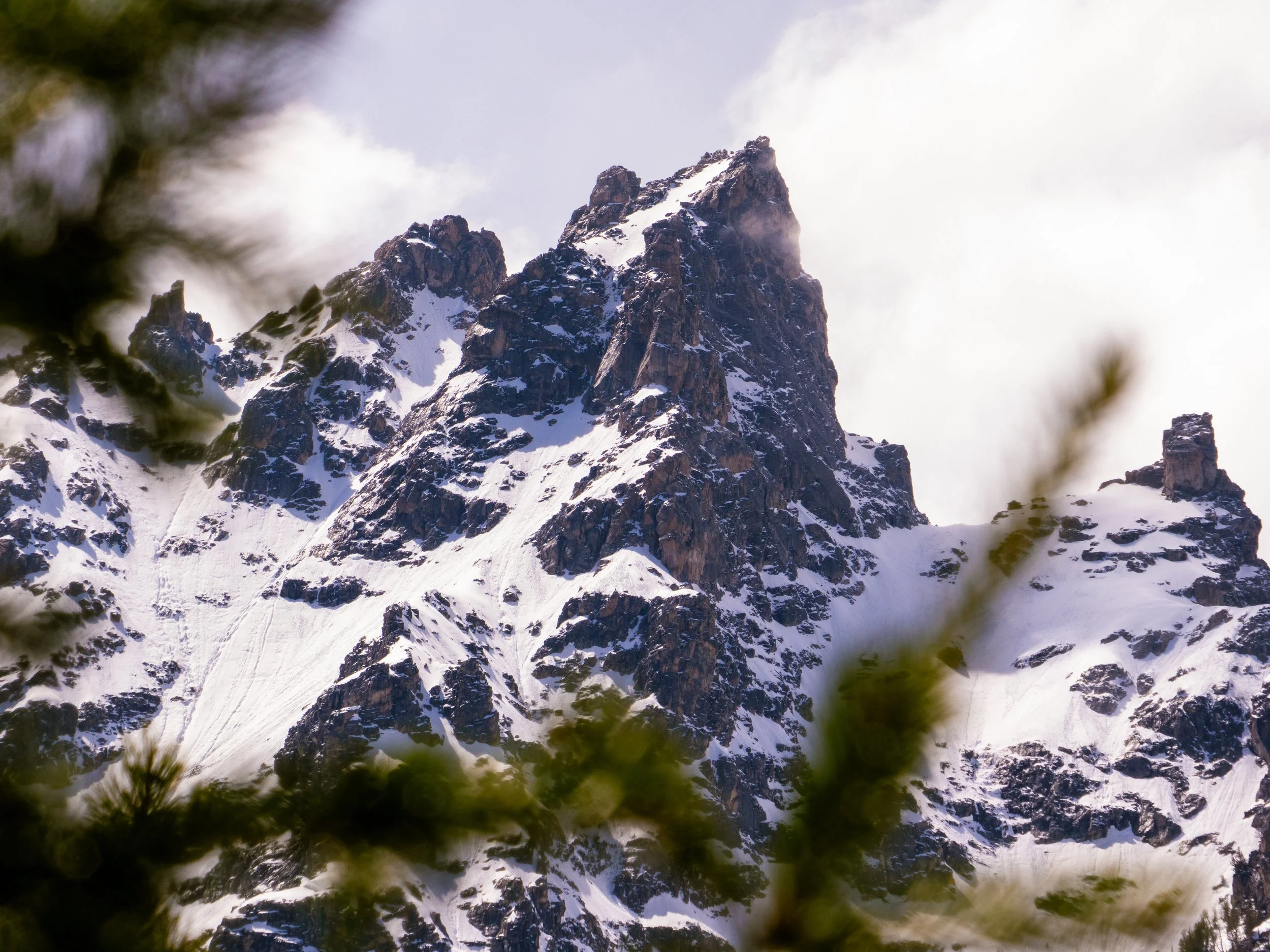 Snow-covered mountain peak viewed through blurred green pine branches.