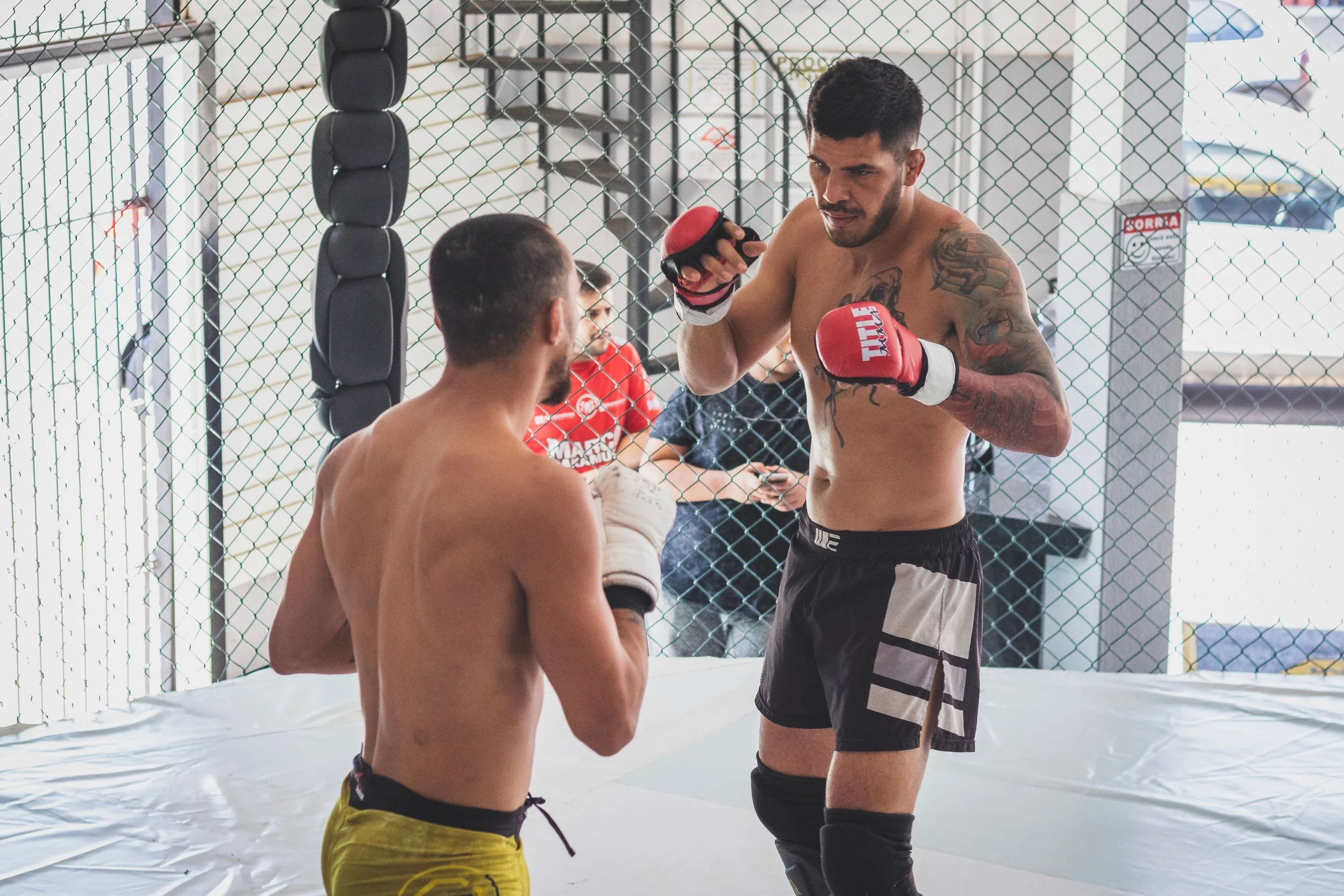 MMA