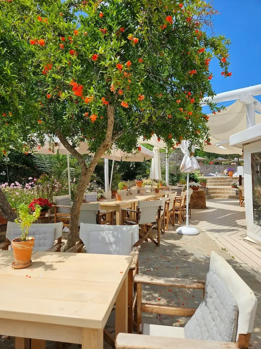 Ein Außenbereich von Milelia Inselgarten mit Tischen und Stühlen, begleitet von einem blühenden Baum mit orangefarbenen Blüten, Sonnenschirmen und einer Treppe im Hintergrund.