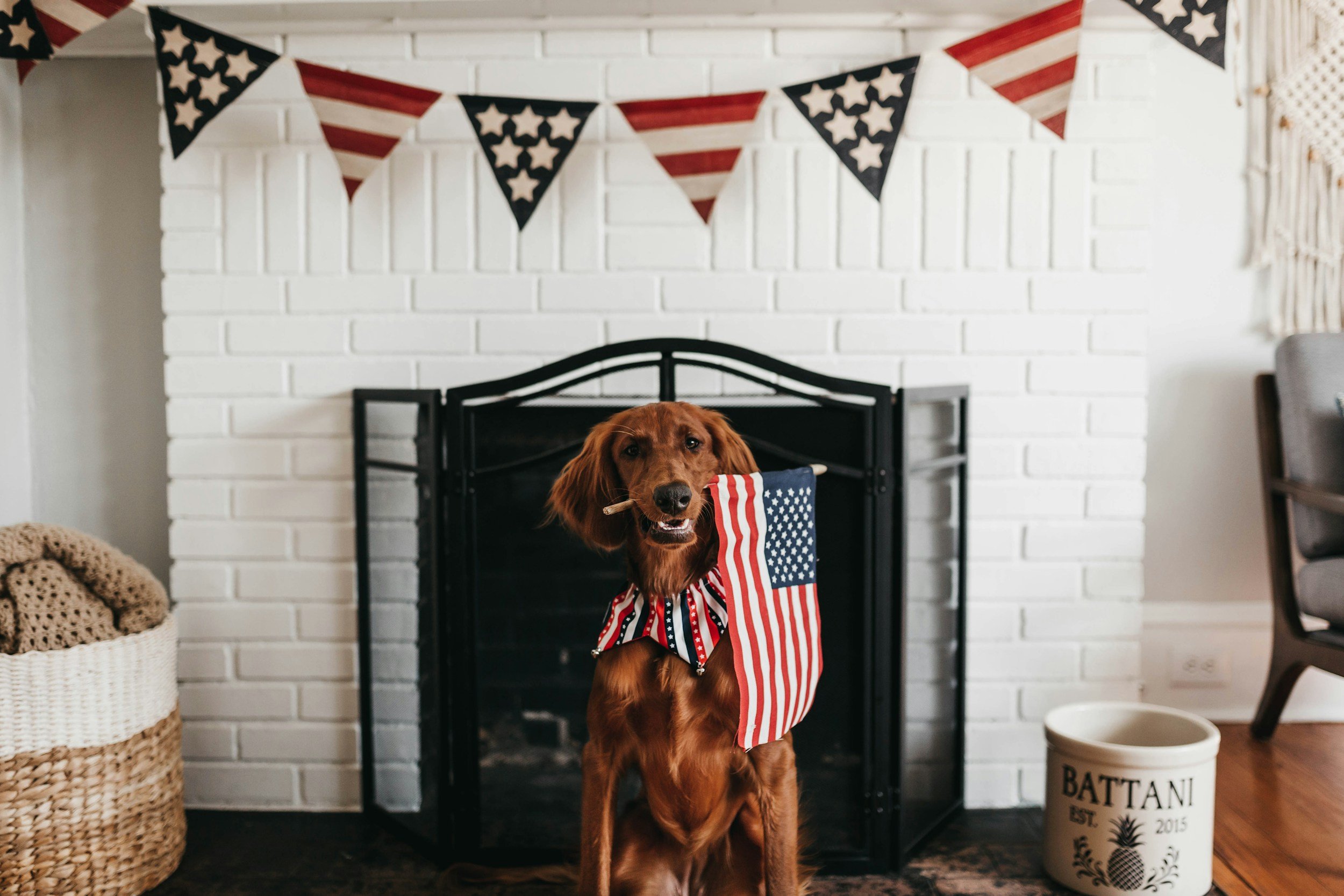 A Quiet Note for July 4th