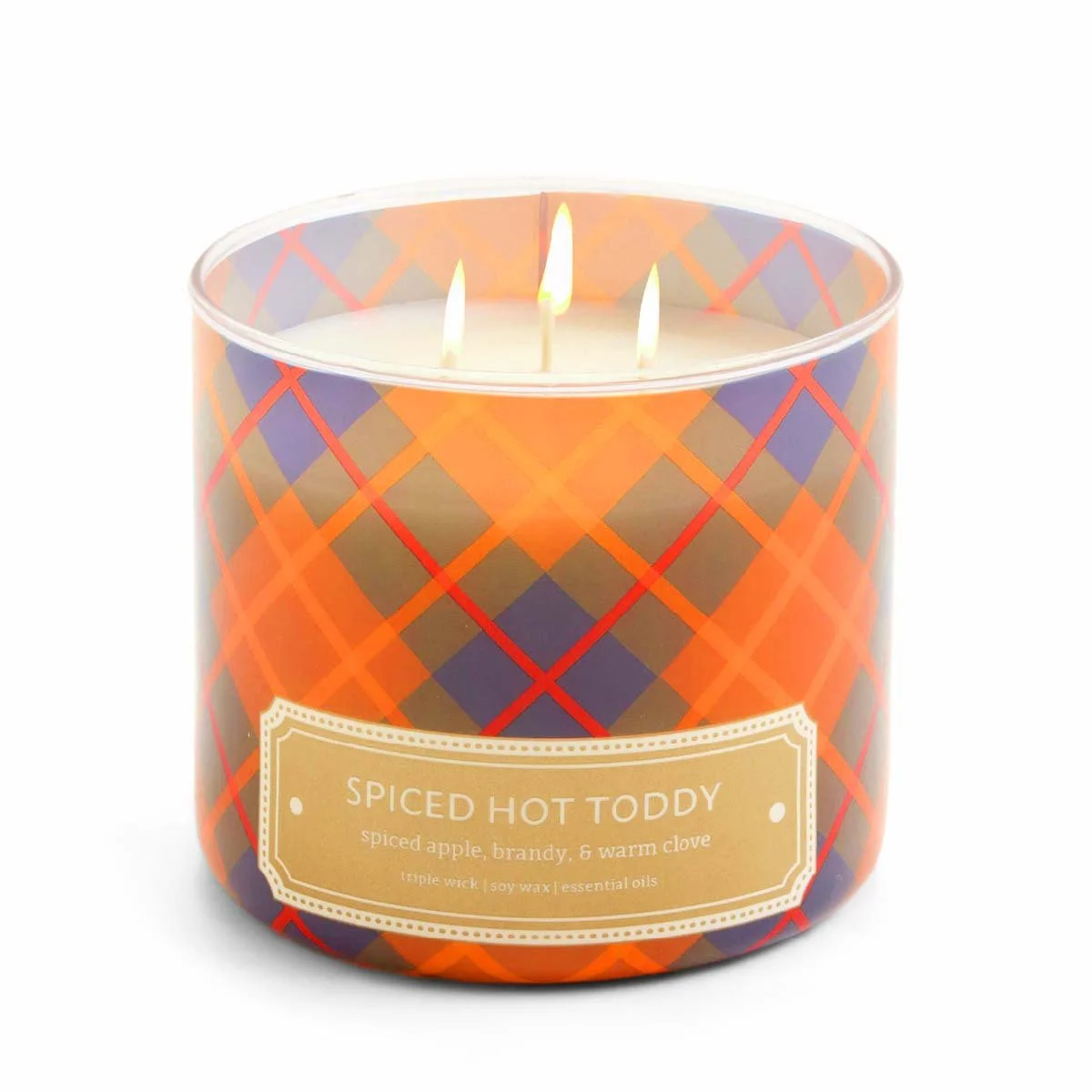 746 FA26 CANDLES_SPICED HOTTY TODDY.jpg