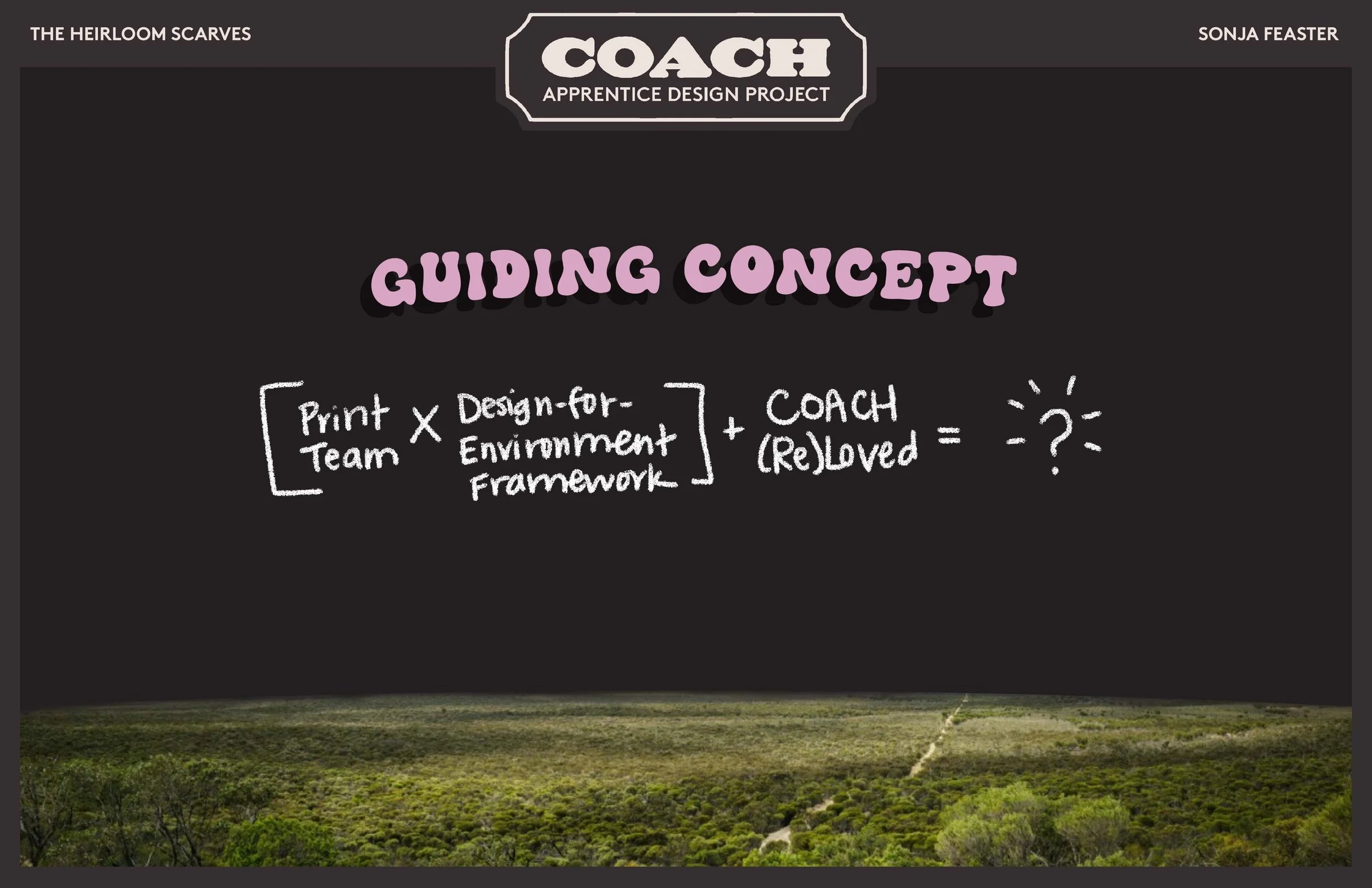 3 Guiding Concept.jpg