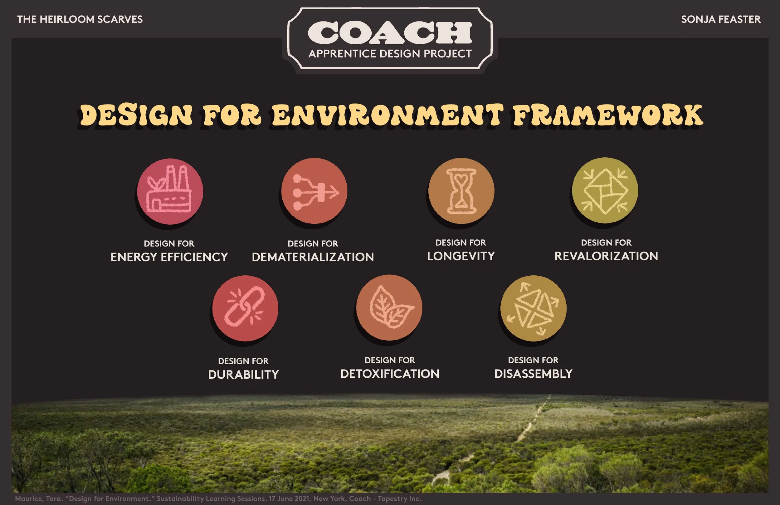 5 Design for Environment.jpg