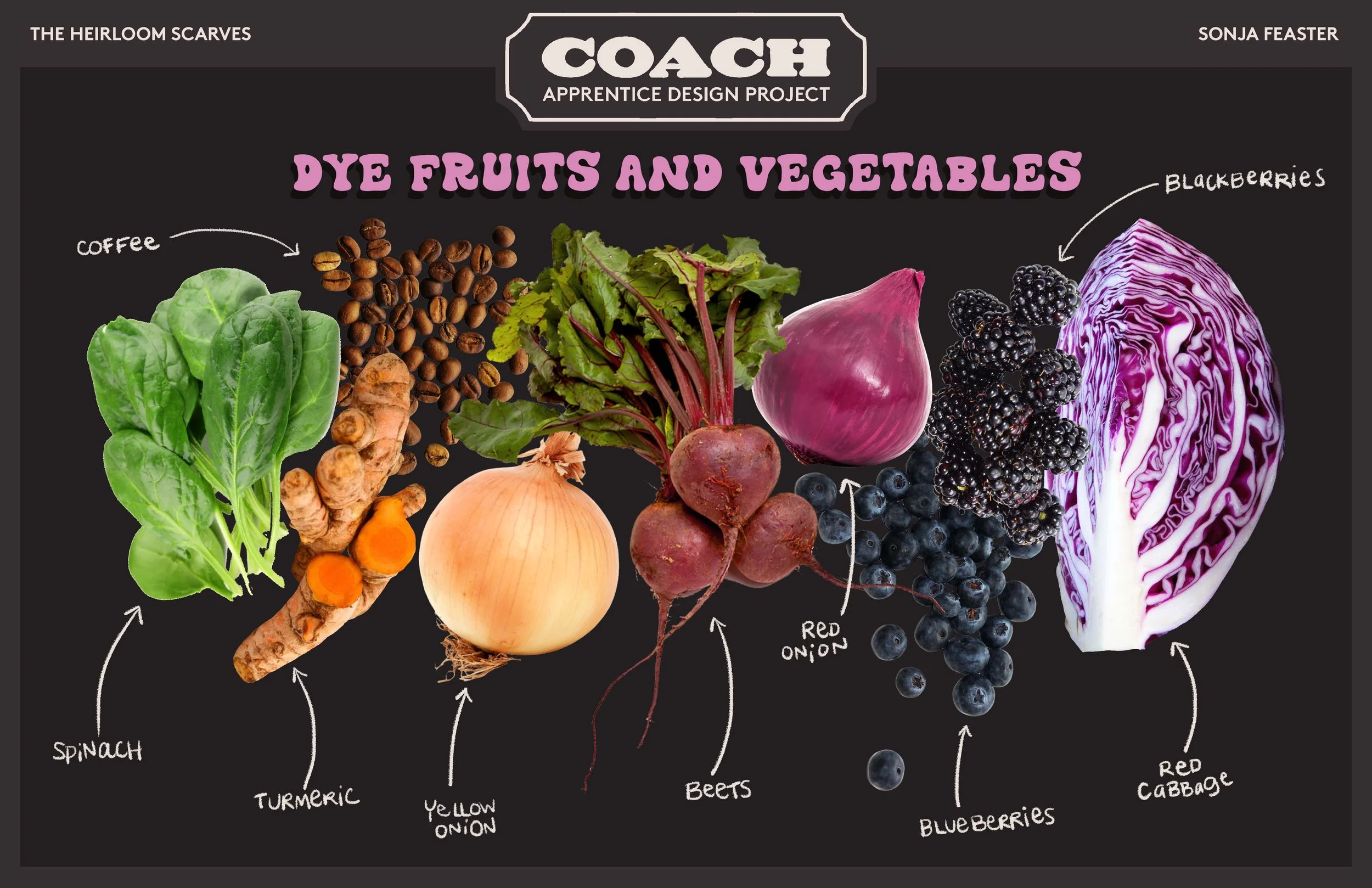 14 VEGETABLES.jpg