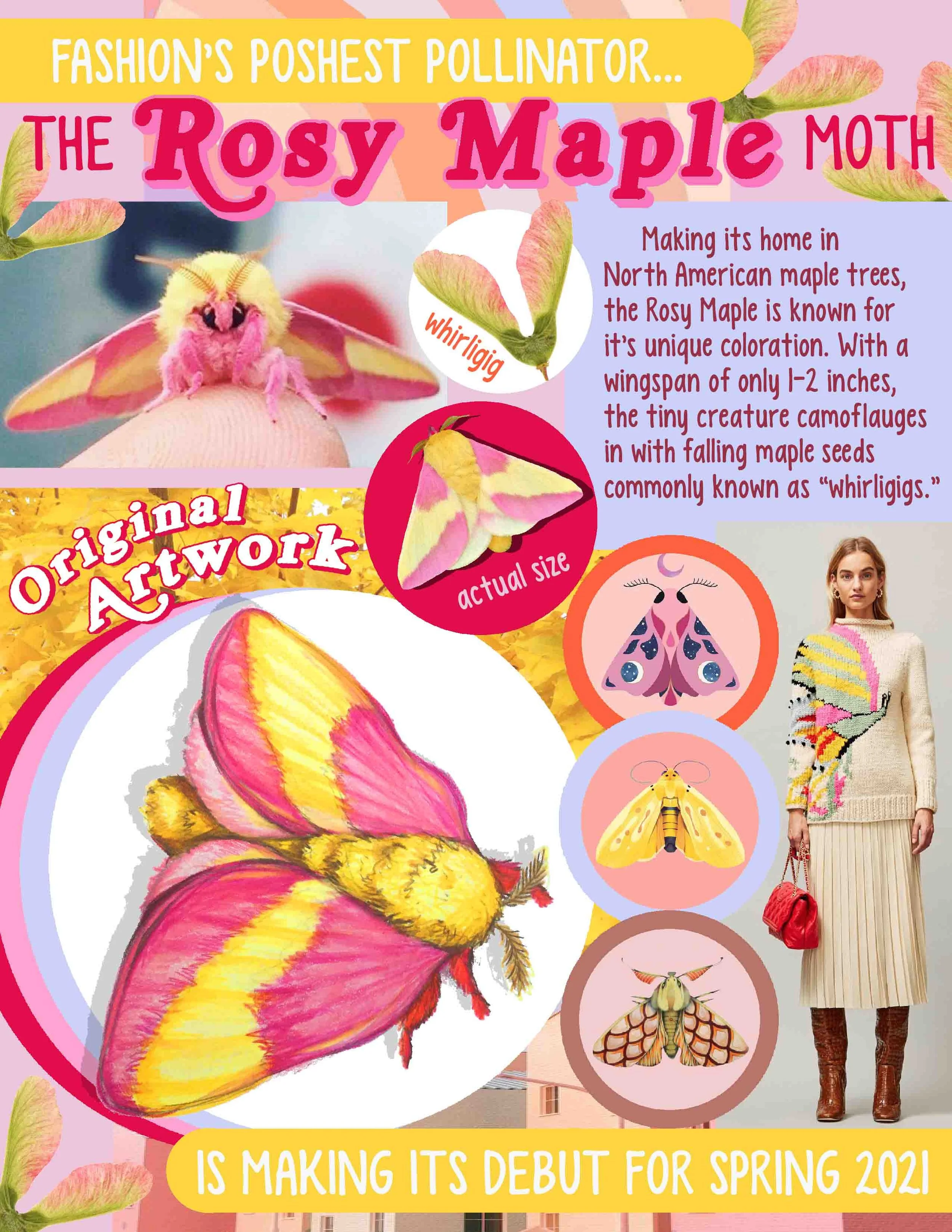 31RosyConcept.jpg
