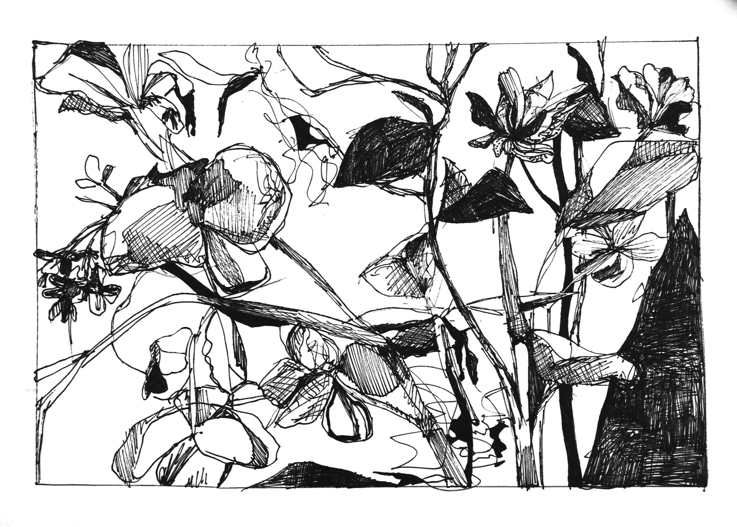 BLOSSOMS+copy.jpg