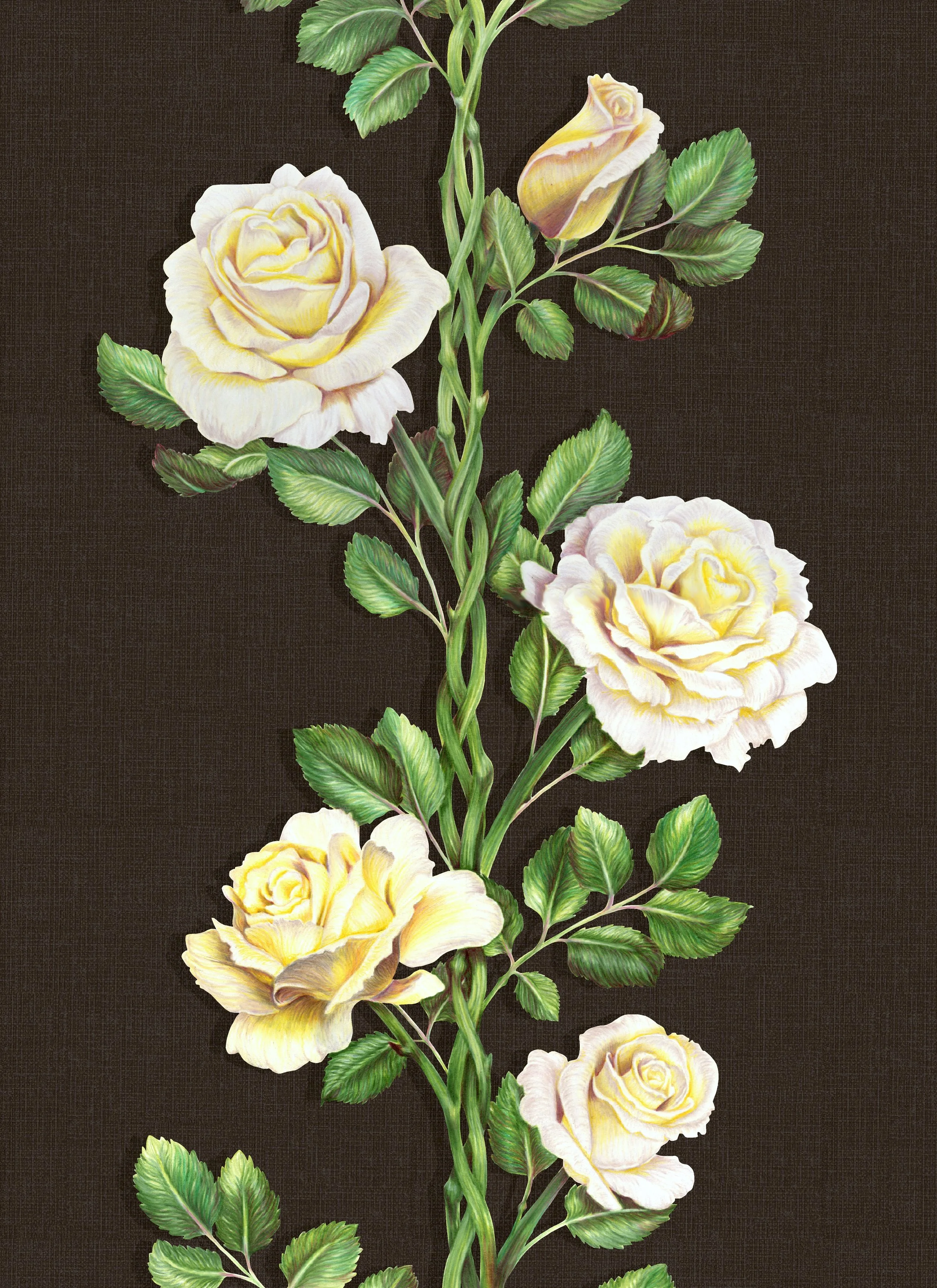 Feaster_Roses.jpg
