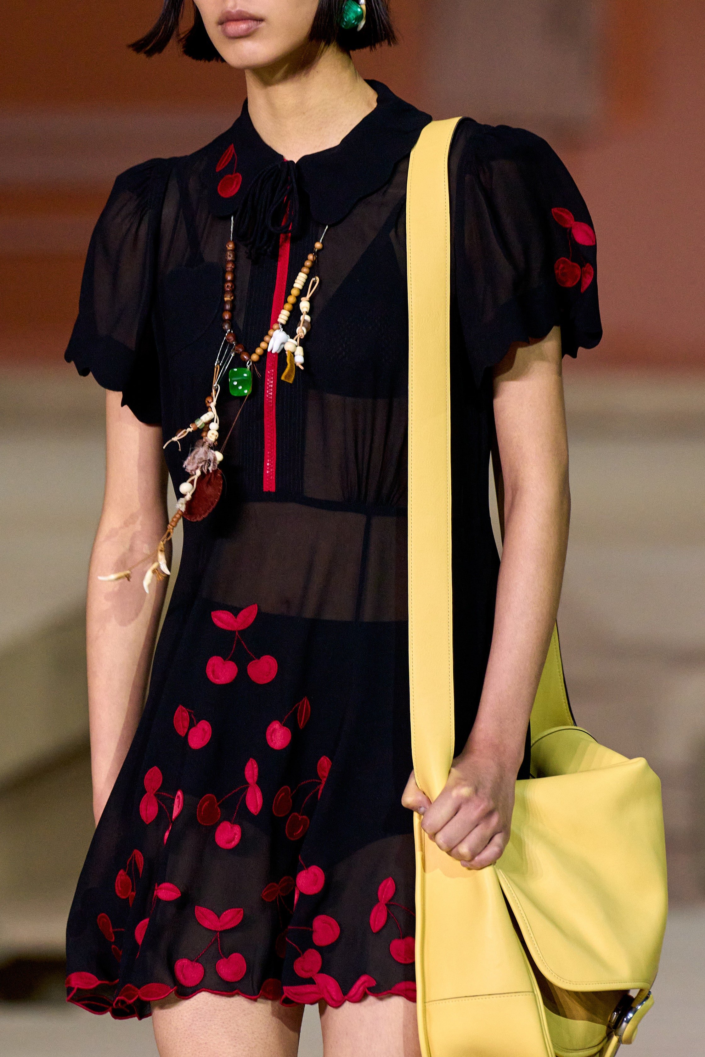 00087-coach-spring-2023-ready-to-wear-details-credit-gorunway.jpeg