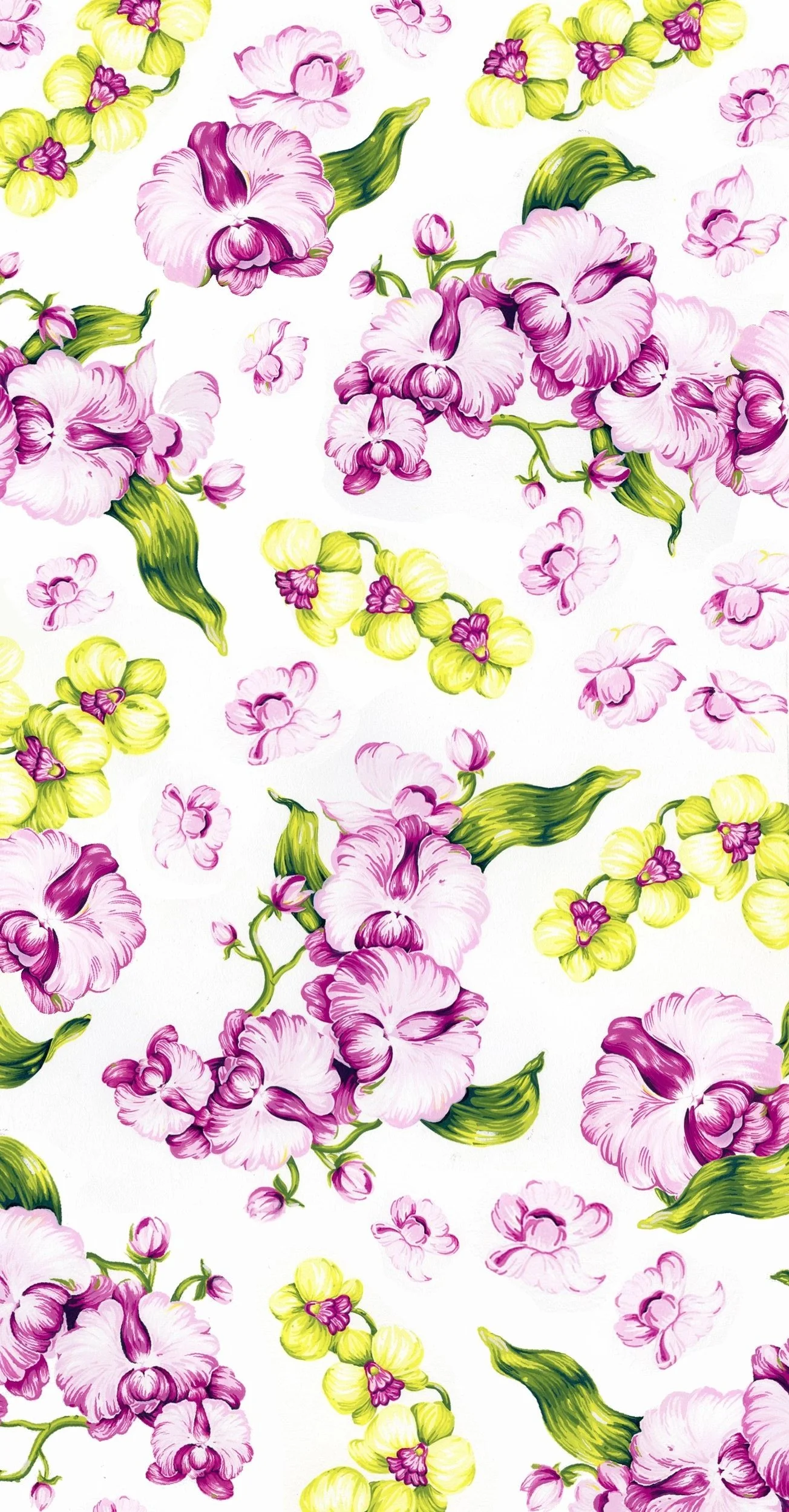 ORCHIDS+6.jpg