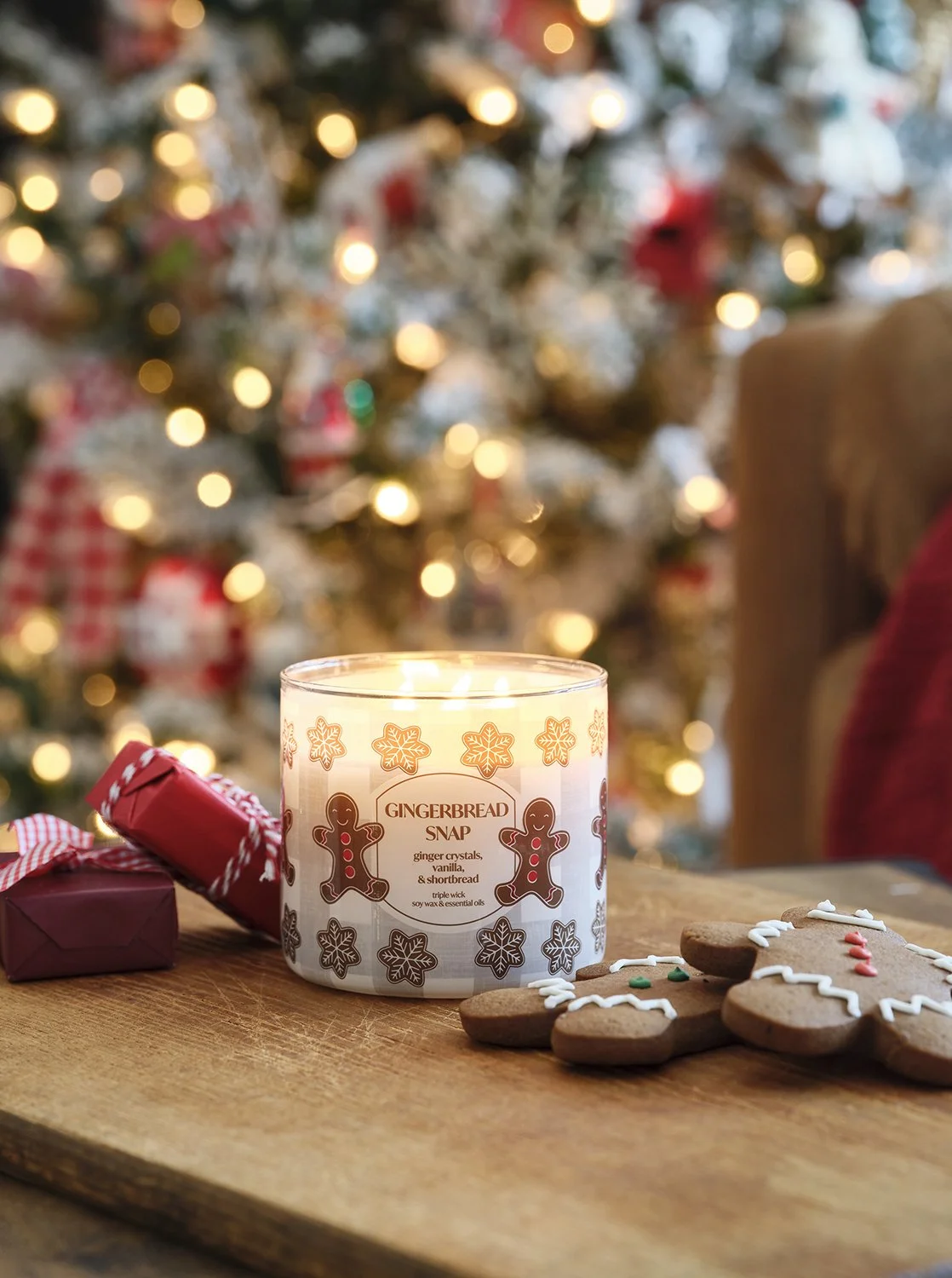 7462086A_O_JVP_AV_GINGERBREADSNAP.jpg